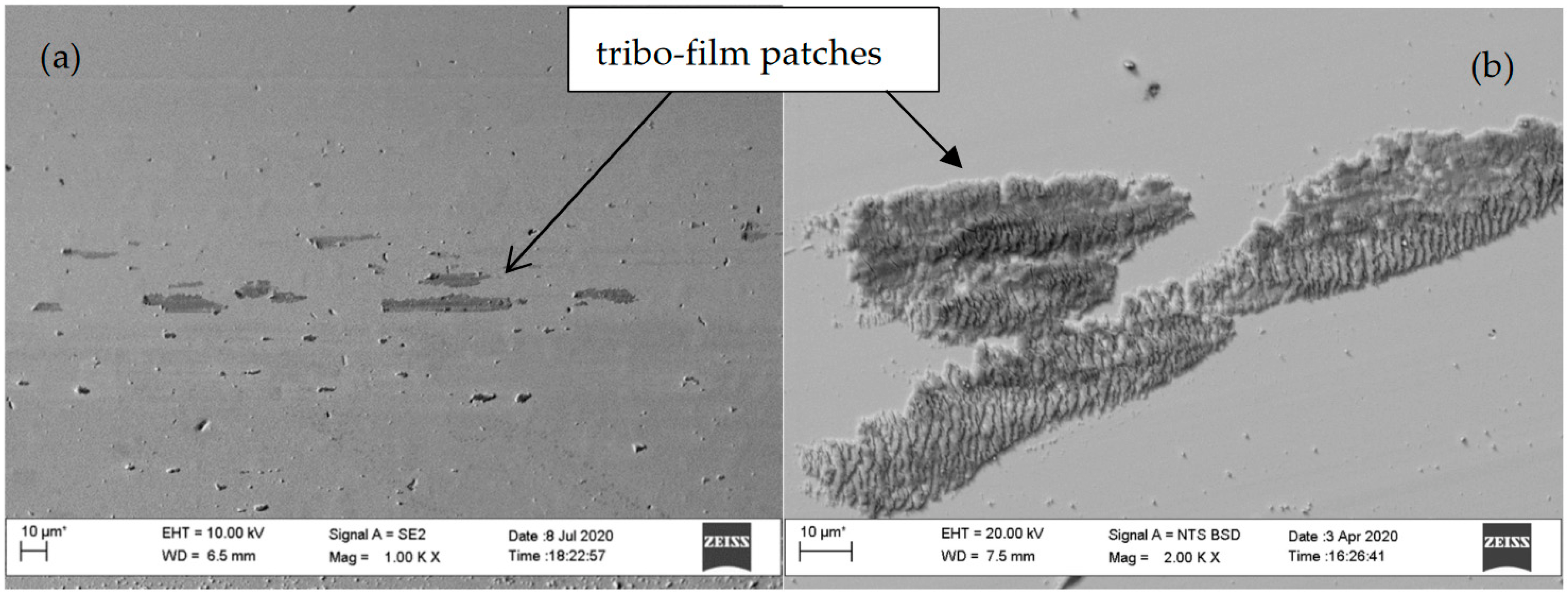 Coatings 12 00493 g008