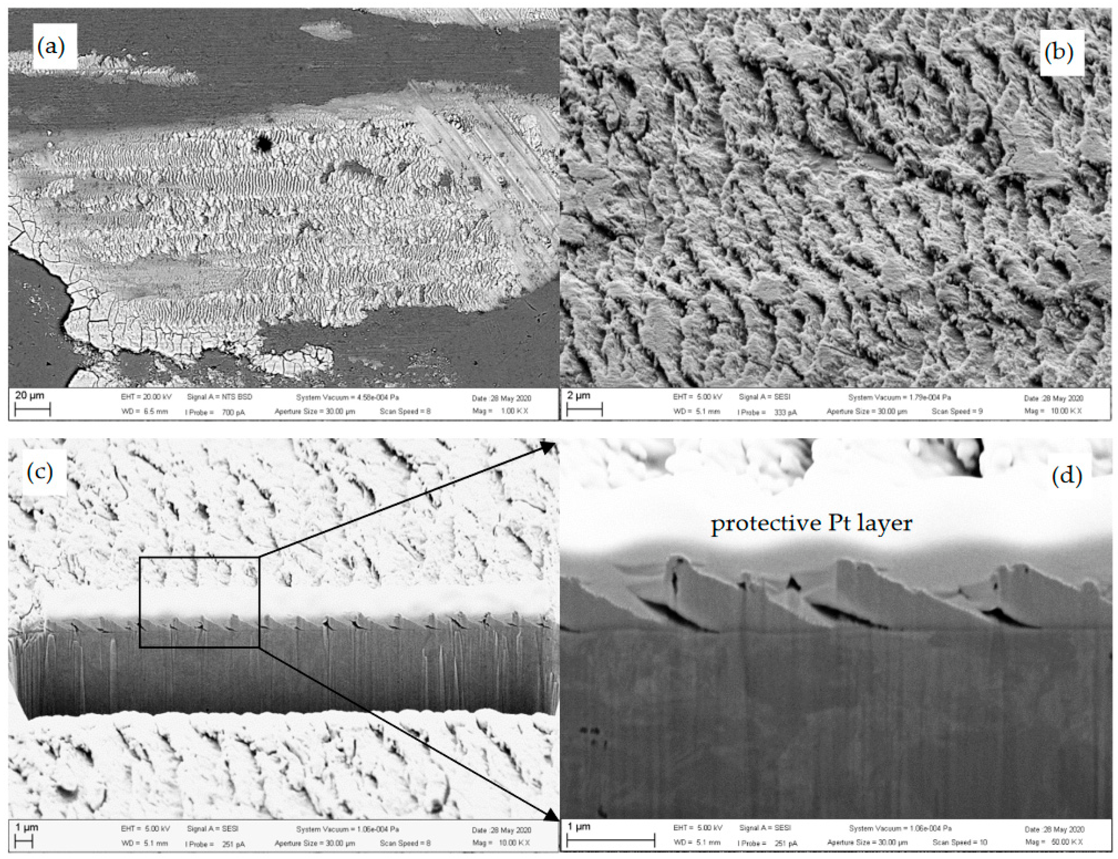Coatings 12 00493 g010