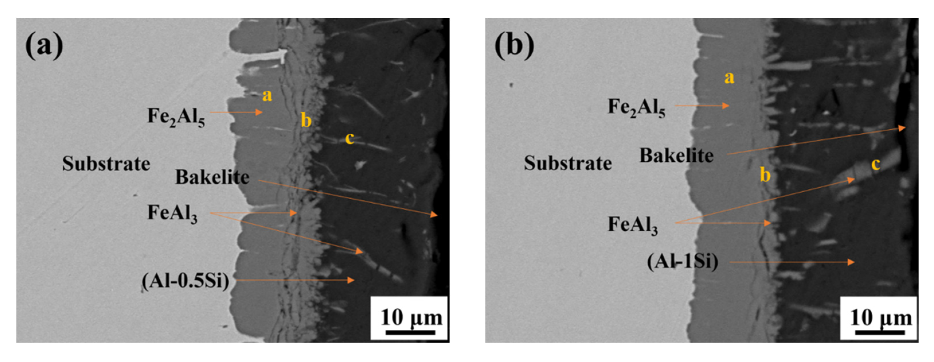 Coatings 12 00503 g003a