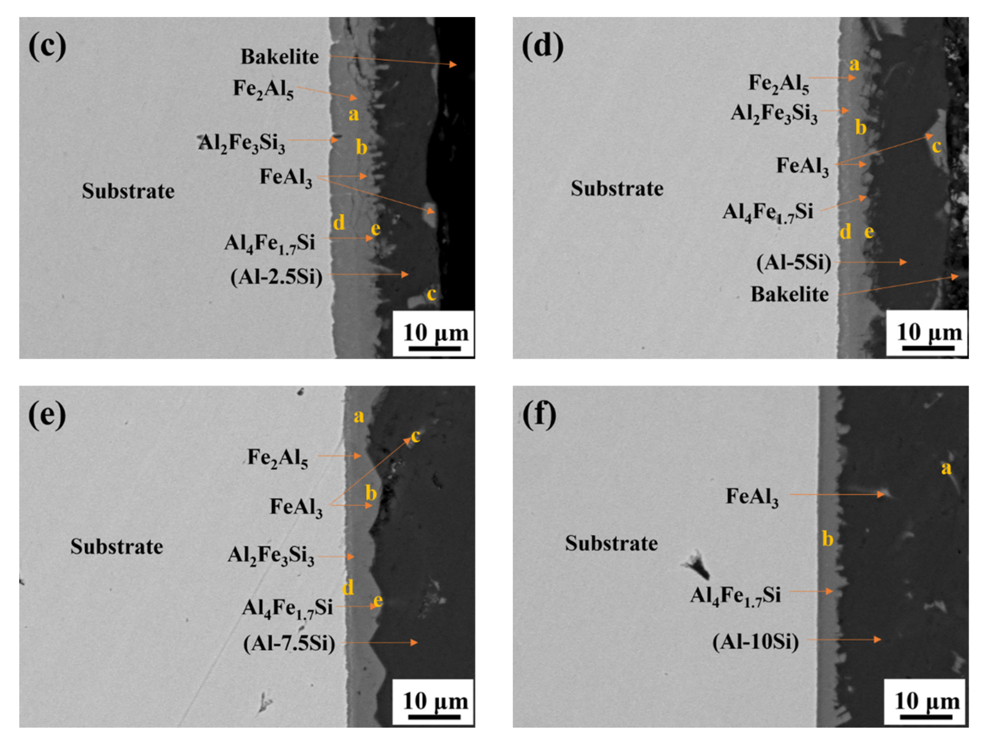 Coatings 12 00503 g003b
