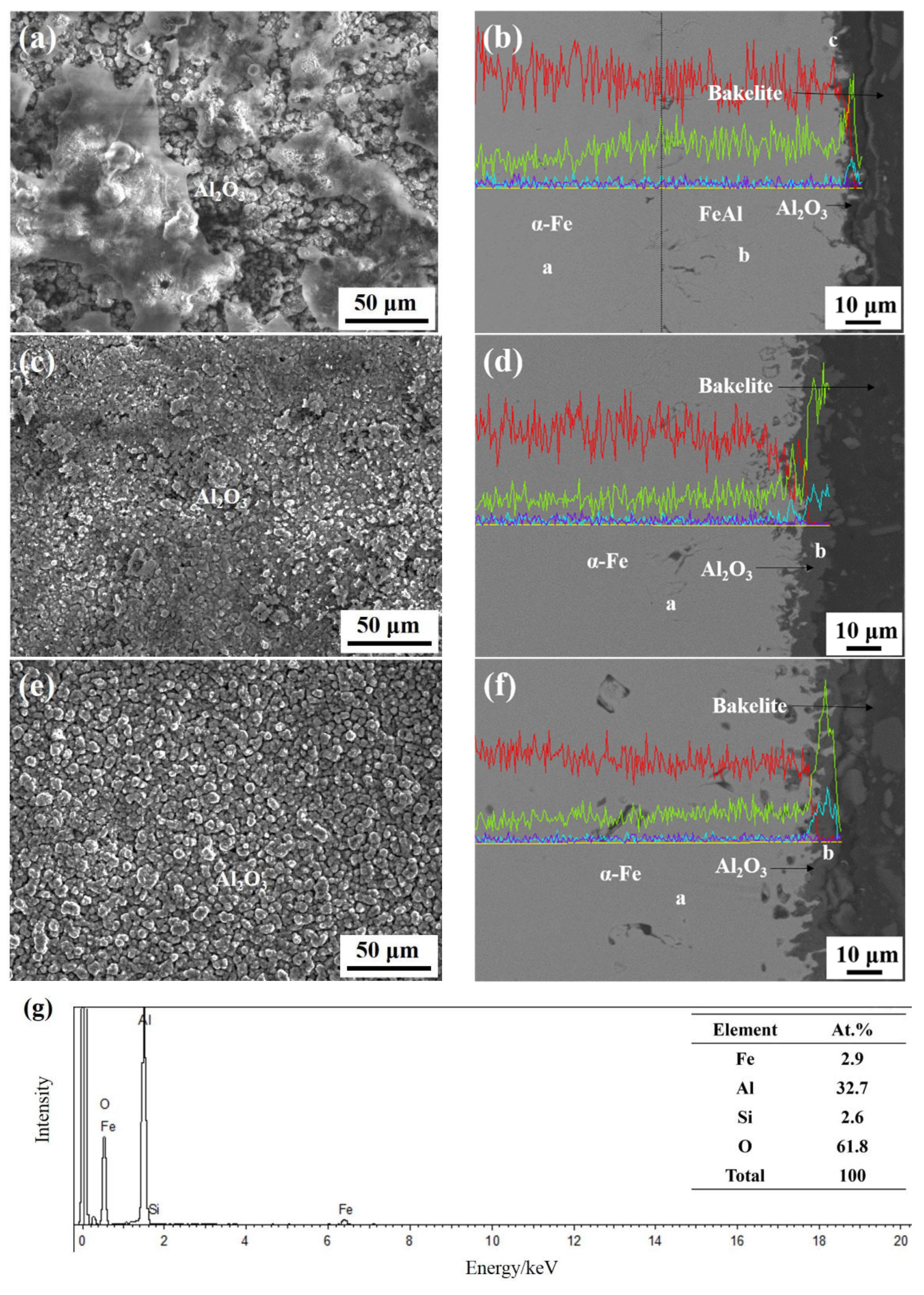 Coatings 12 00503 g006