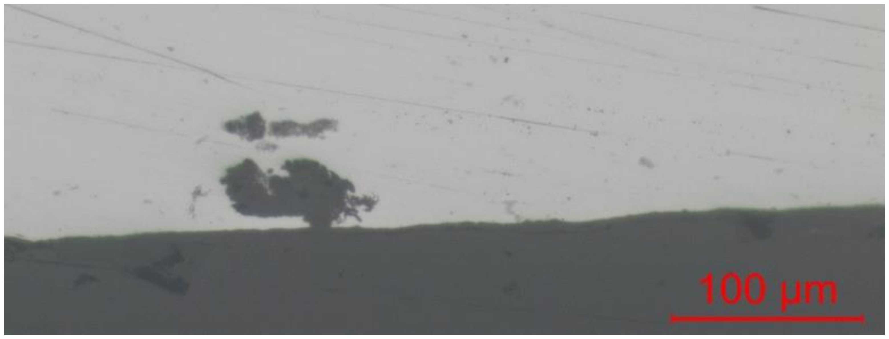 Coatings 12 00518 g001