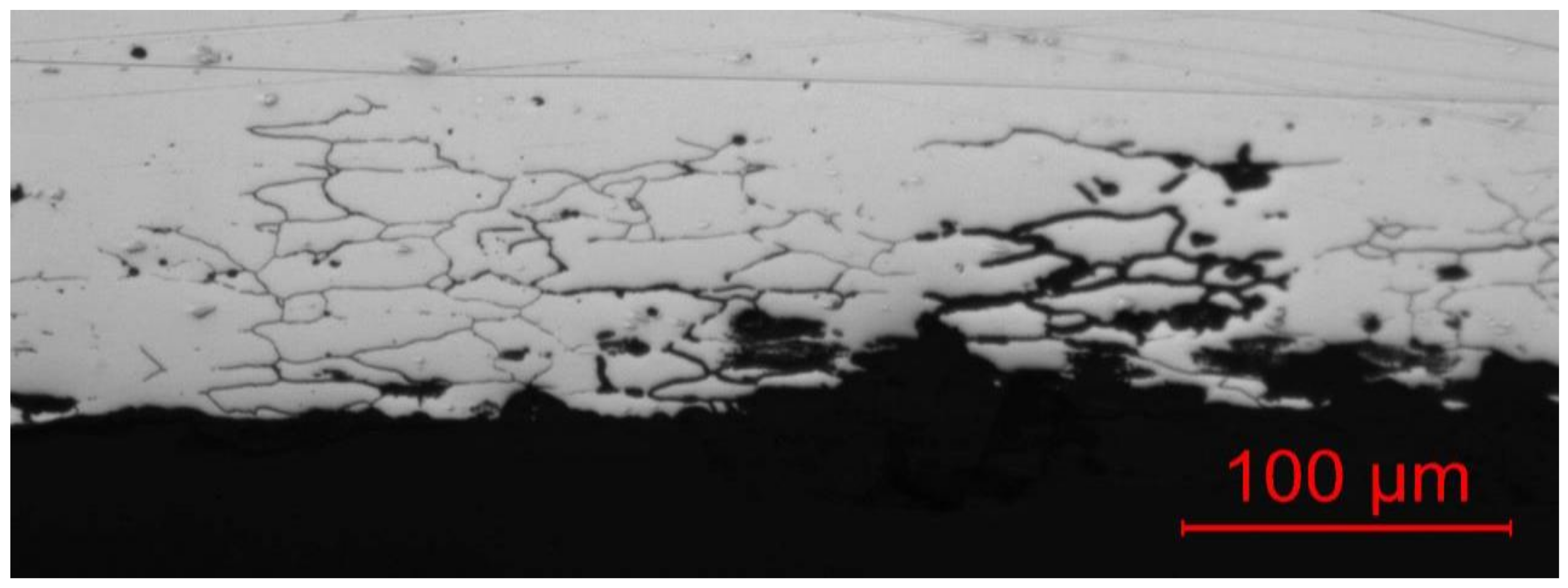 Coatings 12 00518 g002