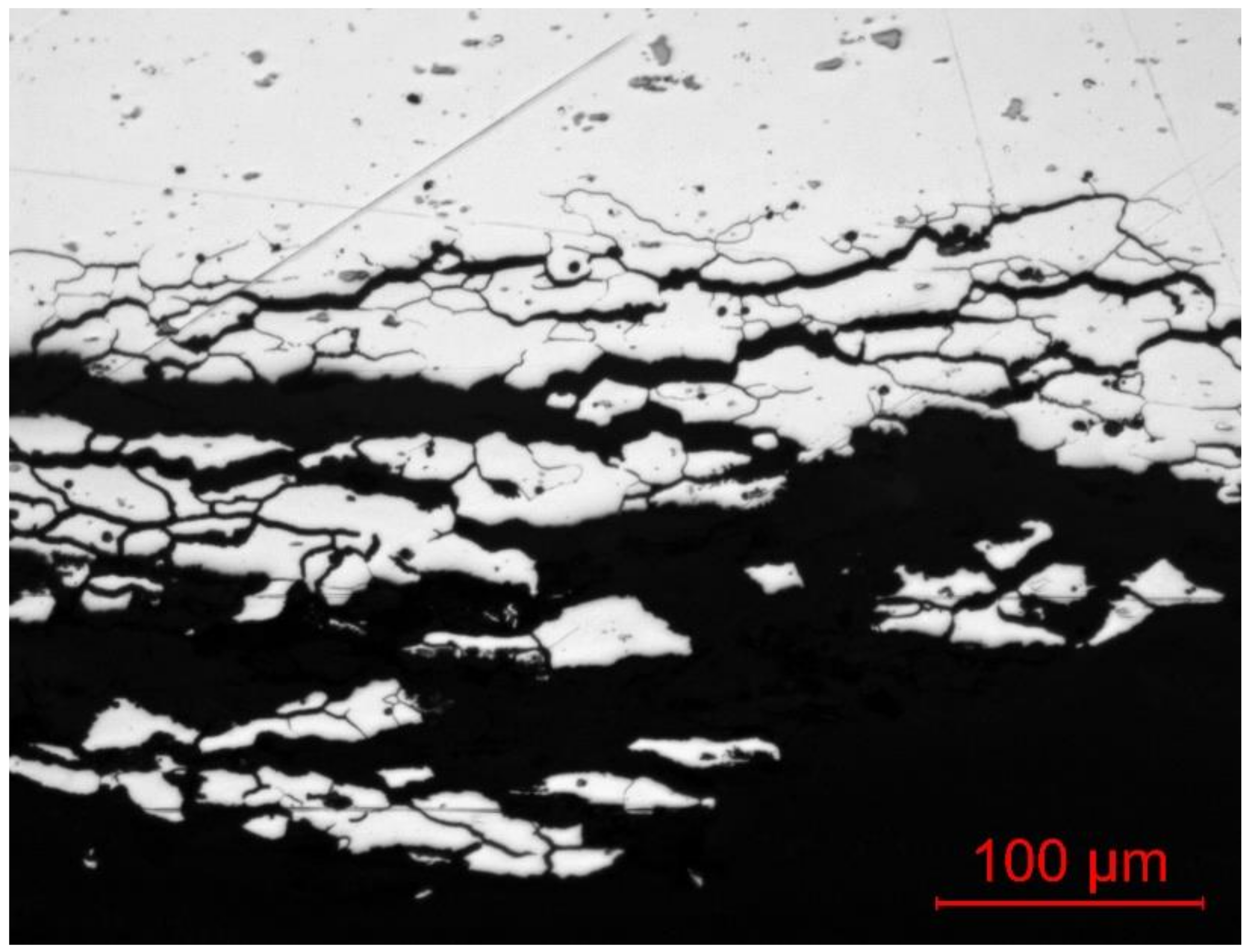 Coatings 12 00518 g003