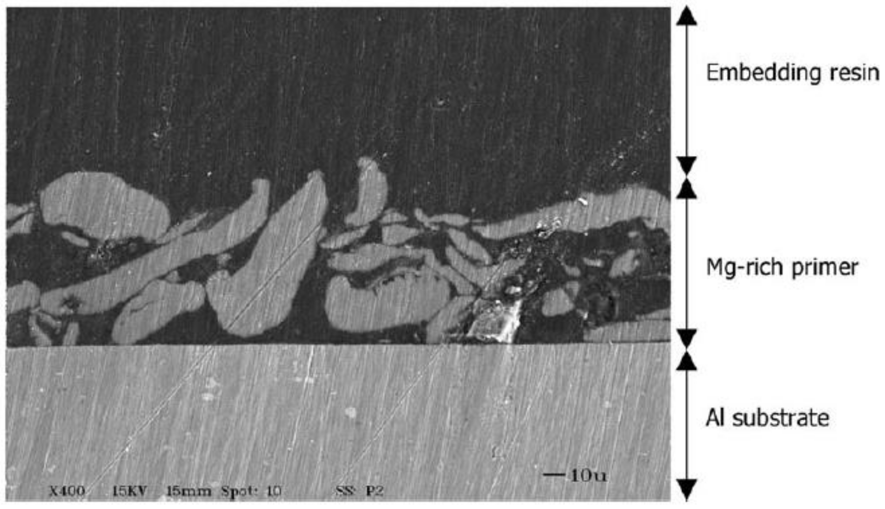 Coatings 12 00518 g010