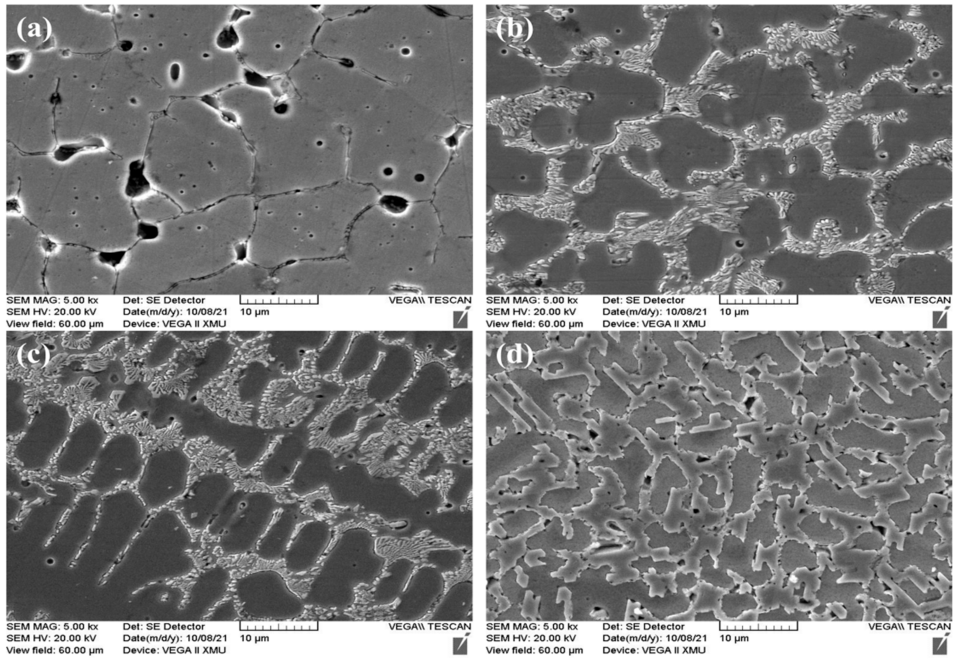 Coatings 12 00519 g002