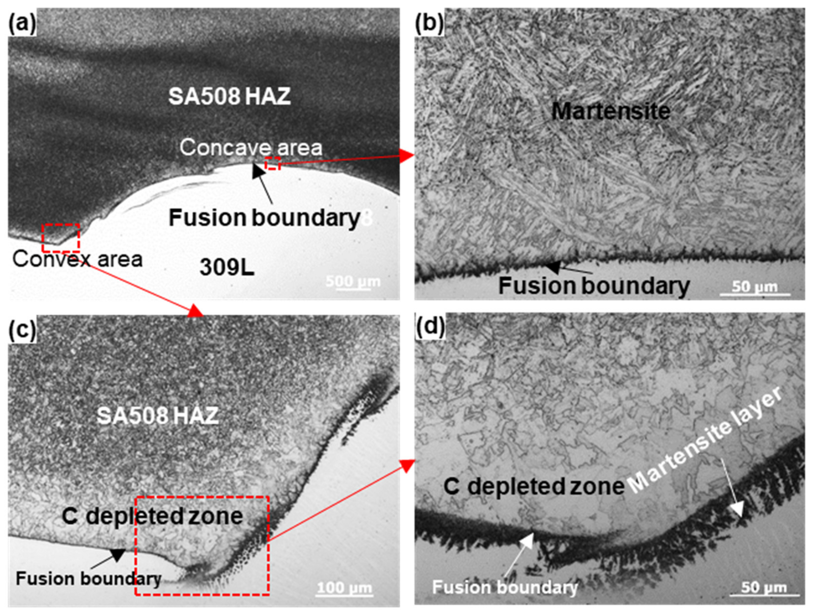 Coatings 12 00525 g004