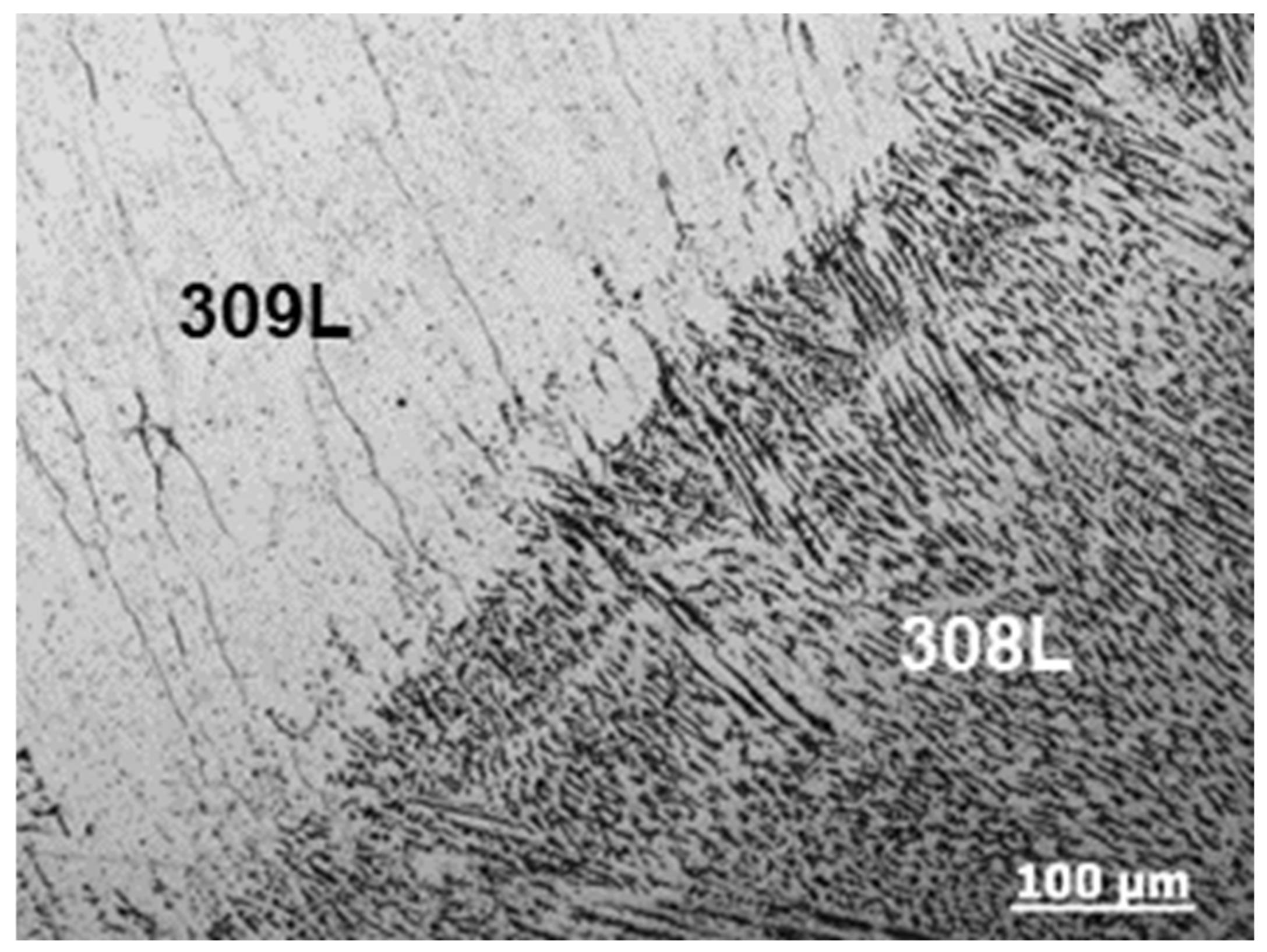 Coatings 12 00525 g005