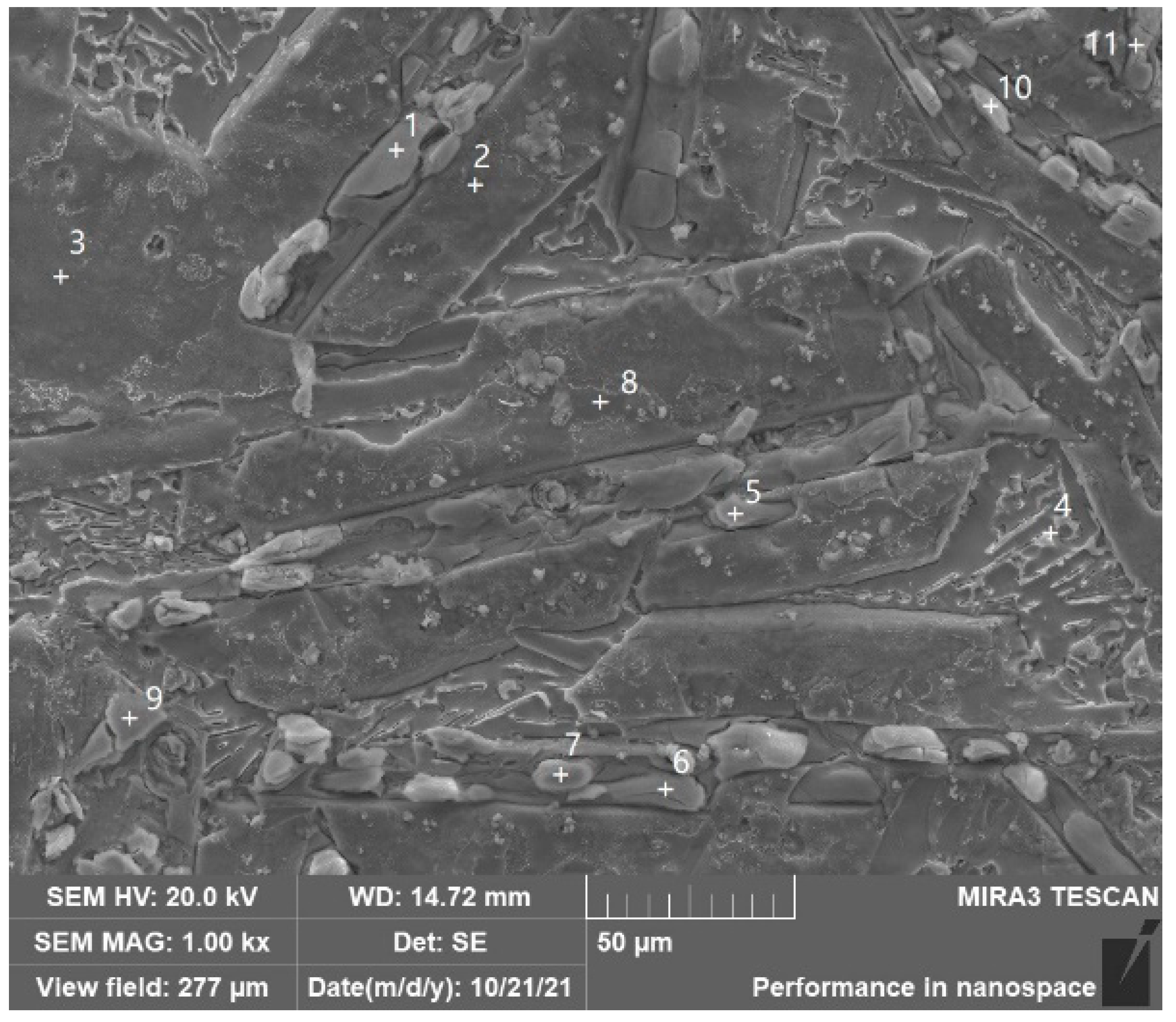 Coatings 12 00531 g009