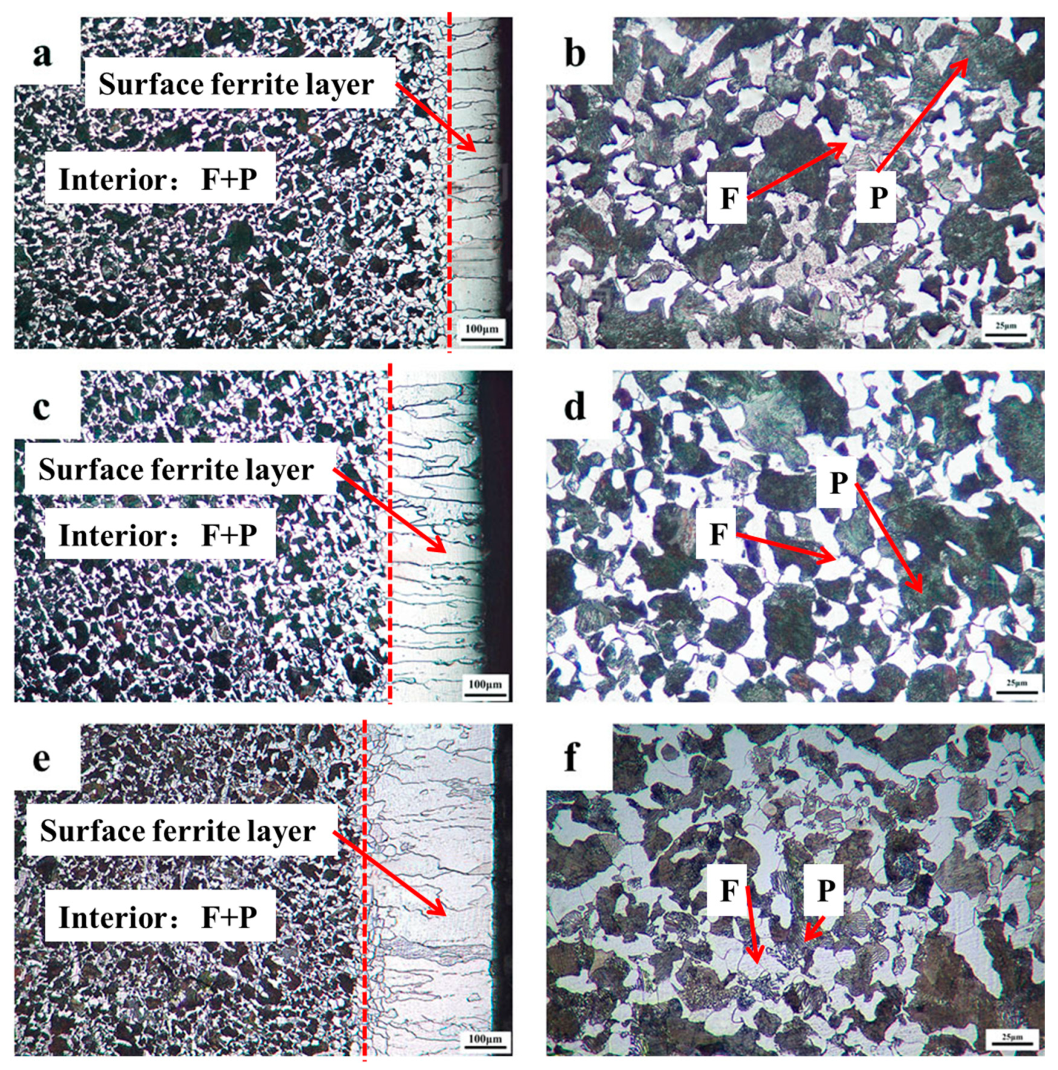 Coatings 12 00541 g002