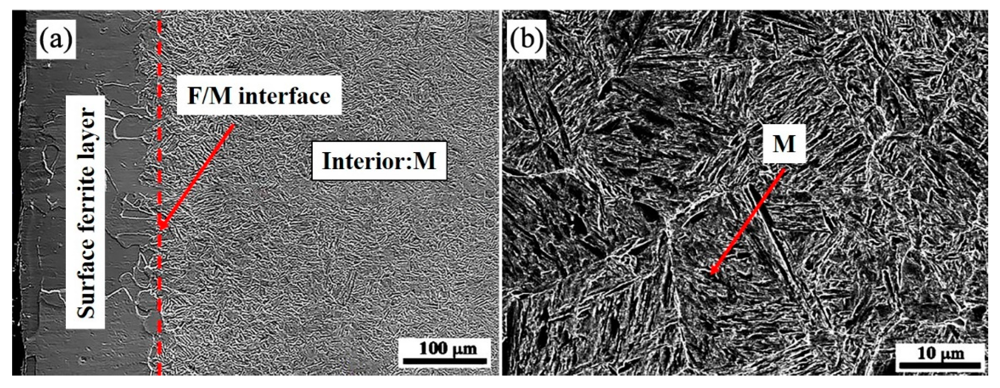 Coatings 12 00541 g004