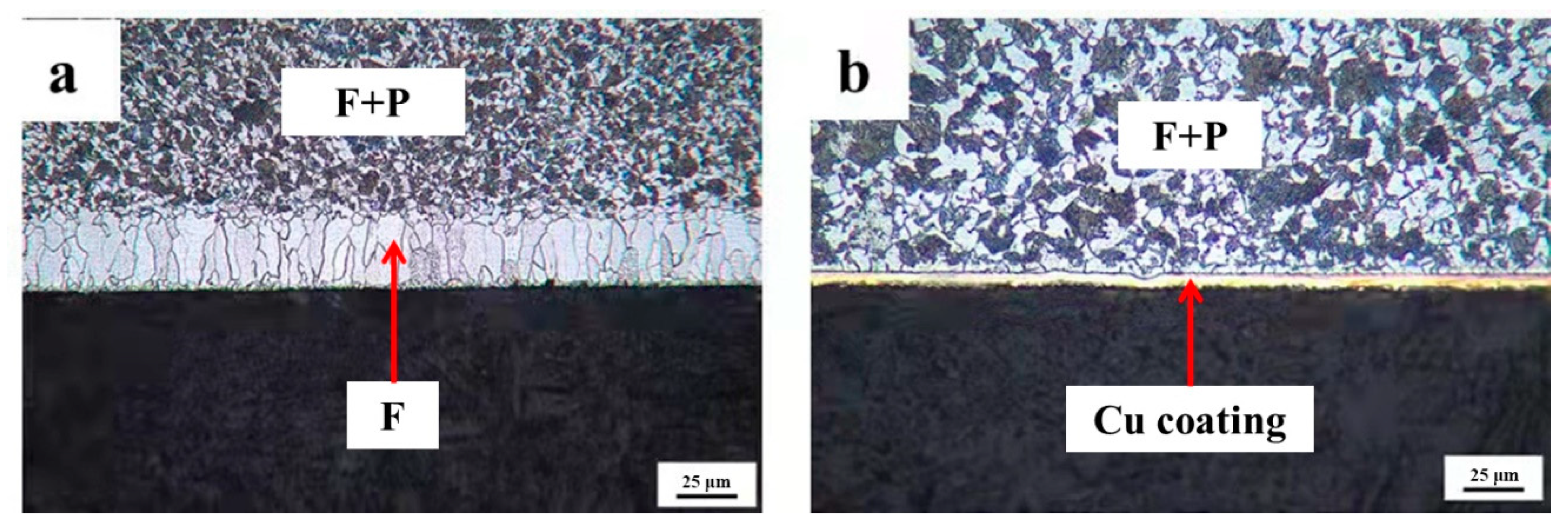 Coatings 12 00541 g008