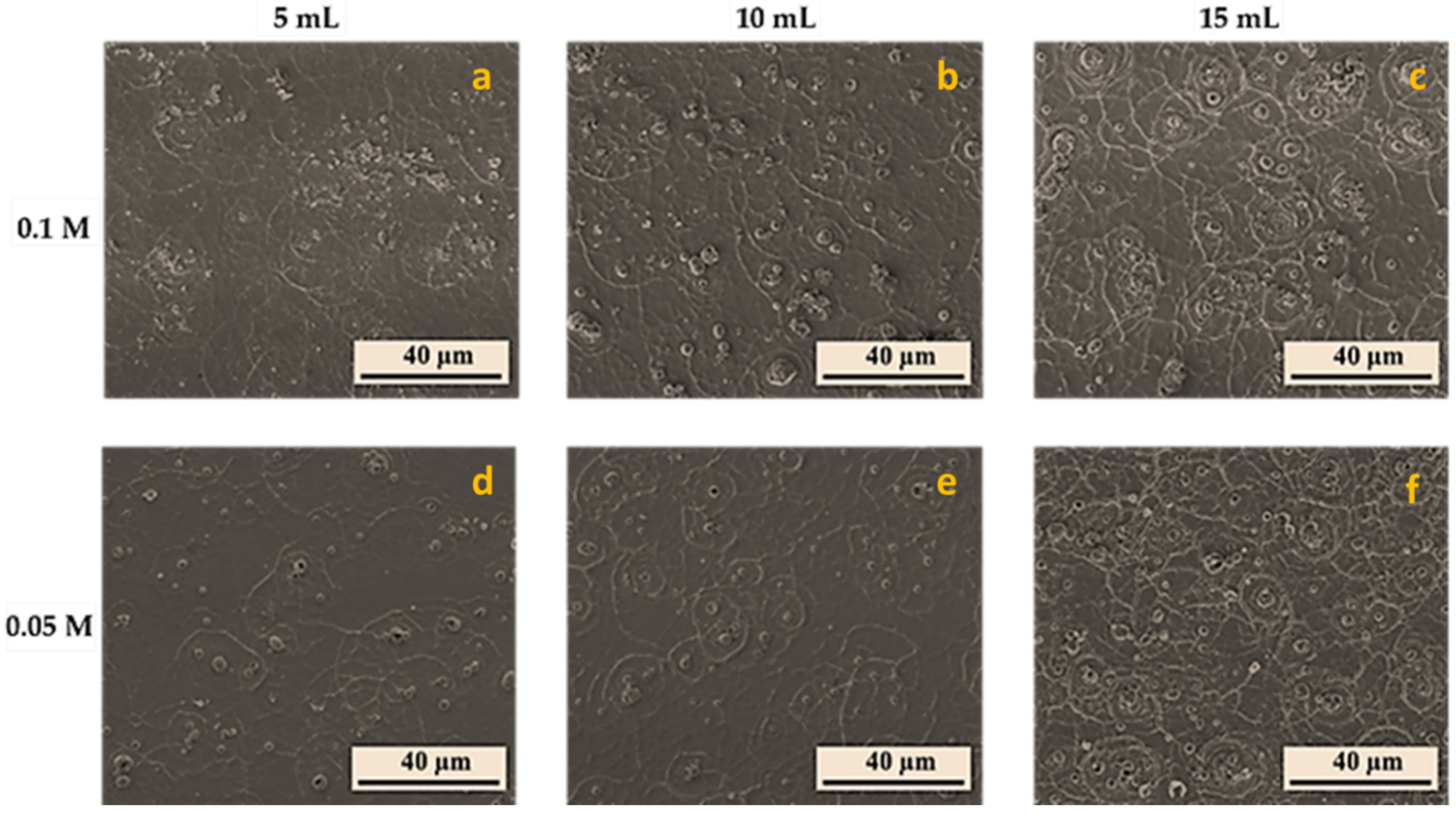 Coatings 12 00545 g006