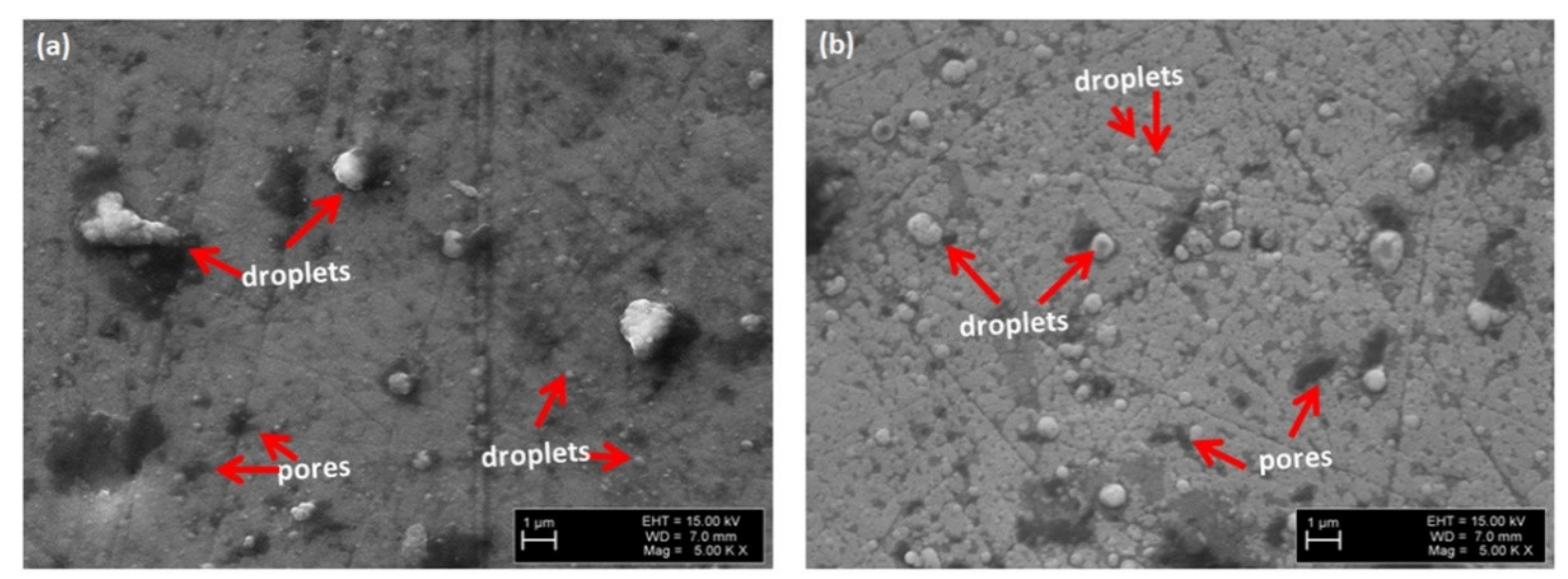 Coatings 12 00547 g001