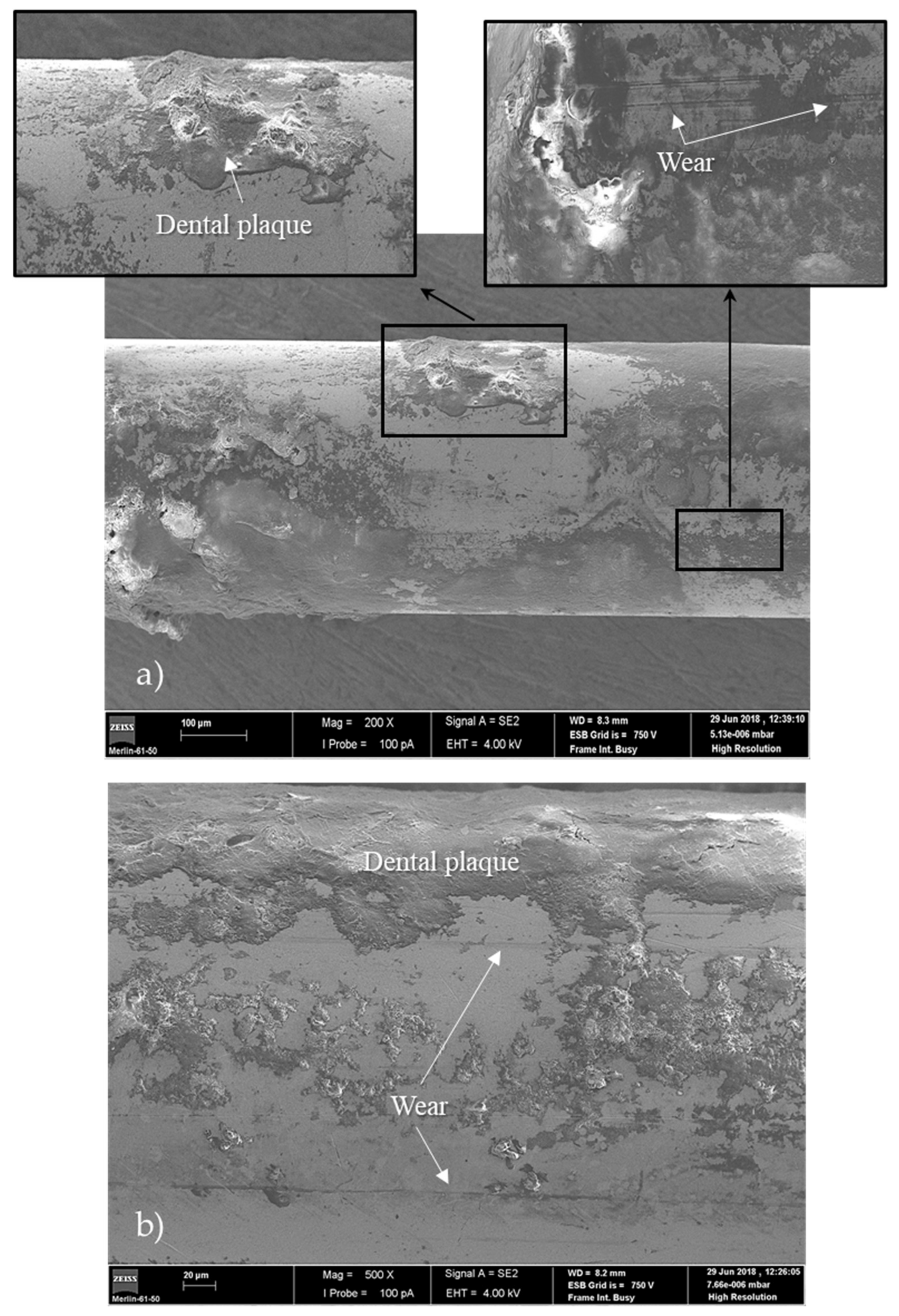 Coatings 12 00554 g002