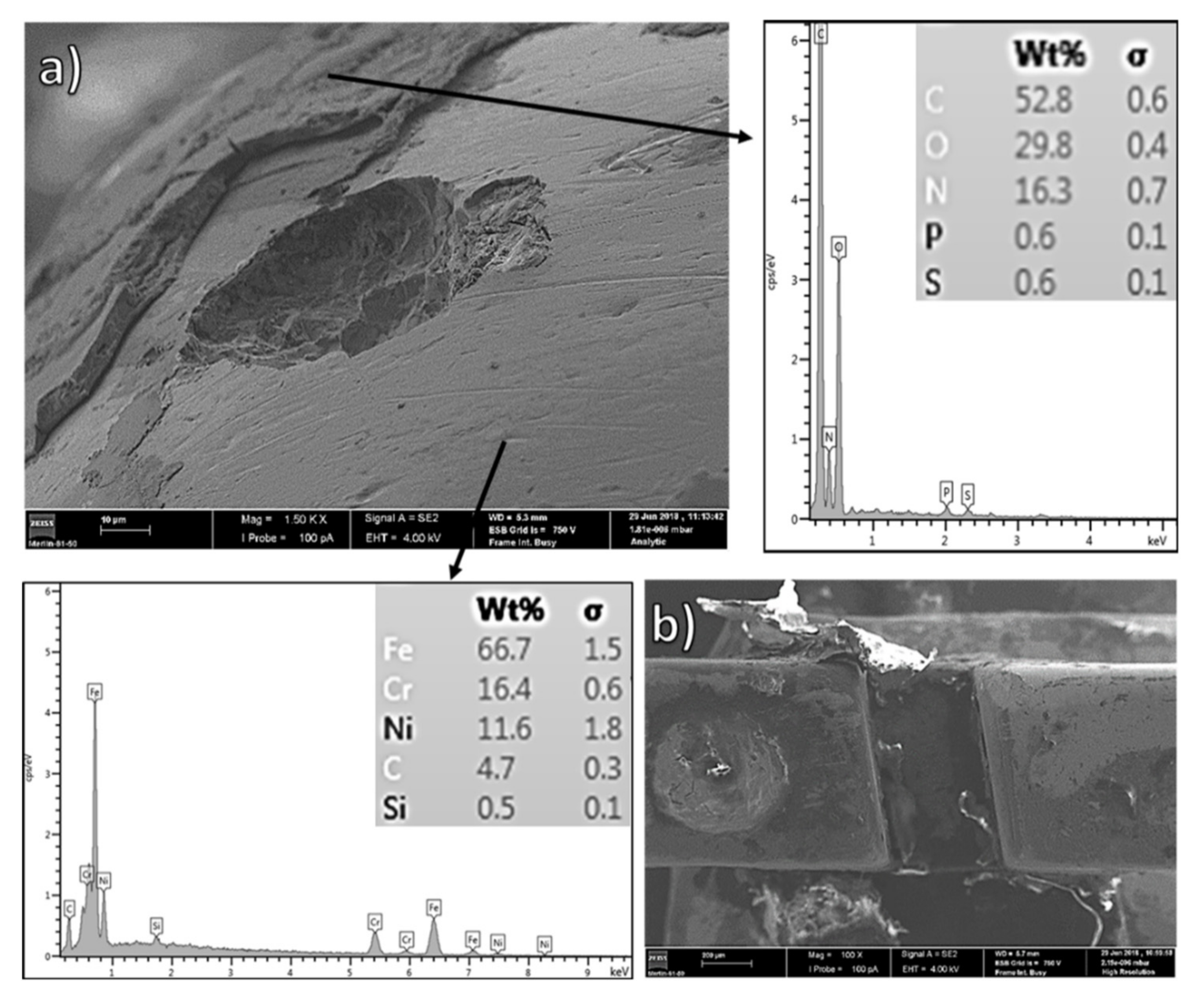 Coatings 12 00554 g005