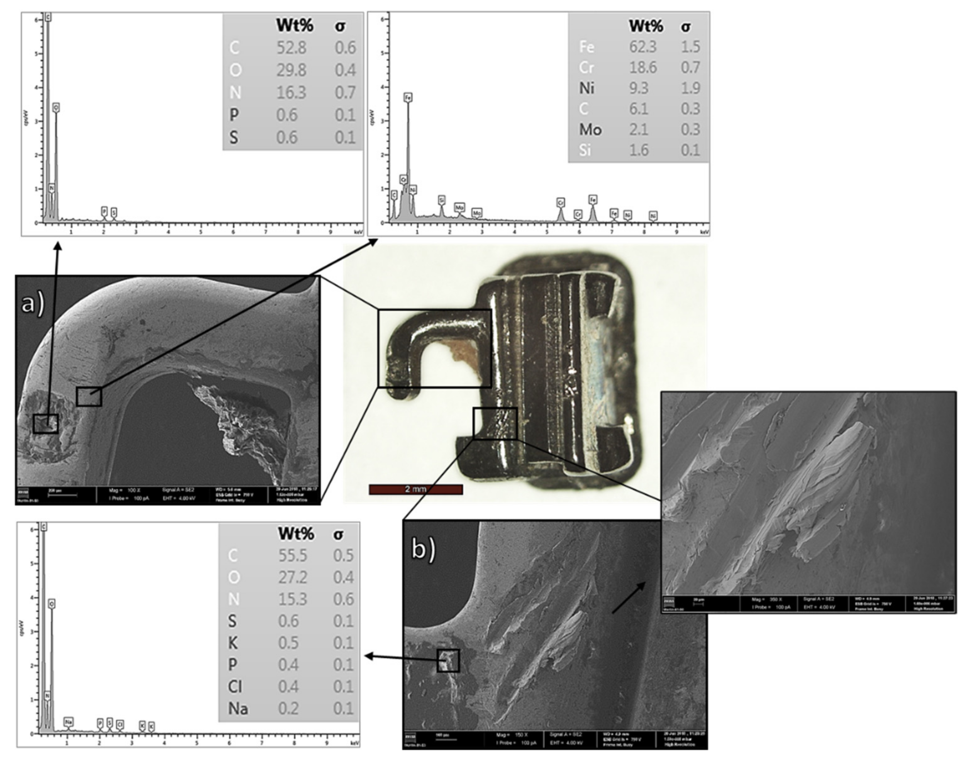 Coatings 12 00554 g006