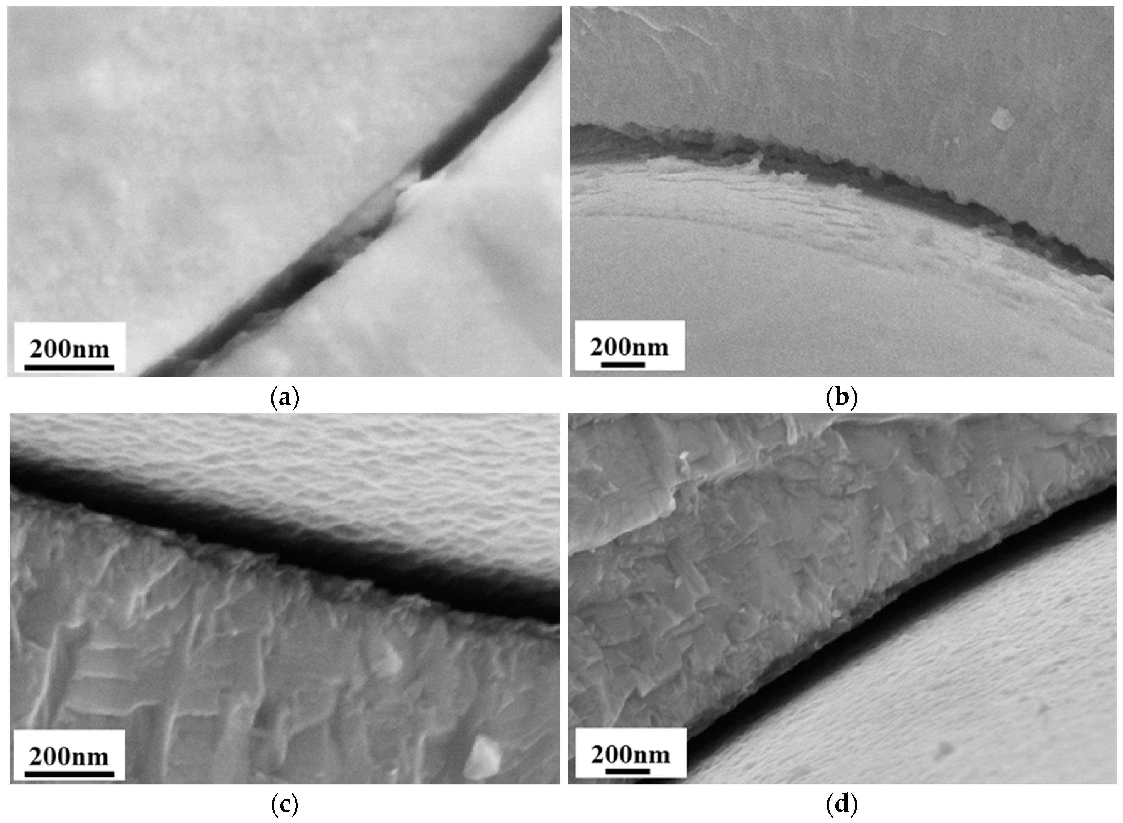 Coatings 12 00573 g011
