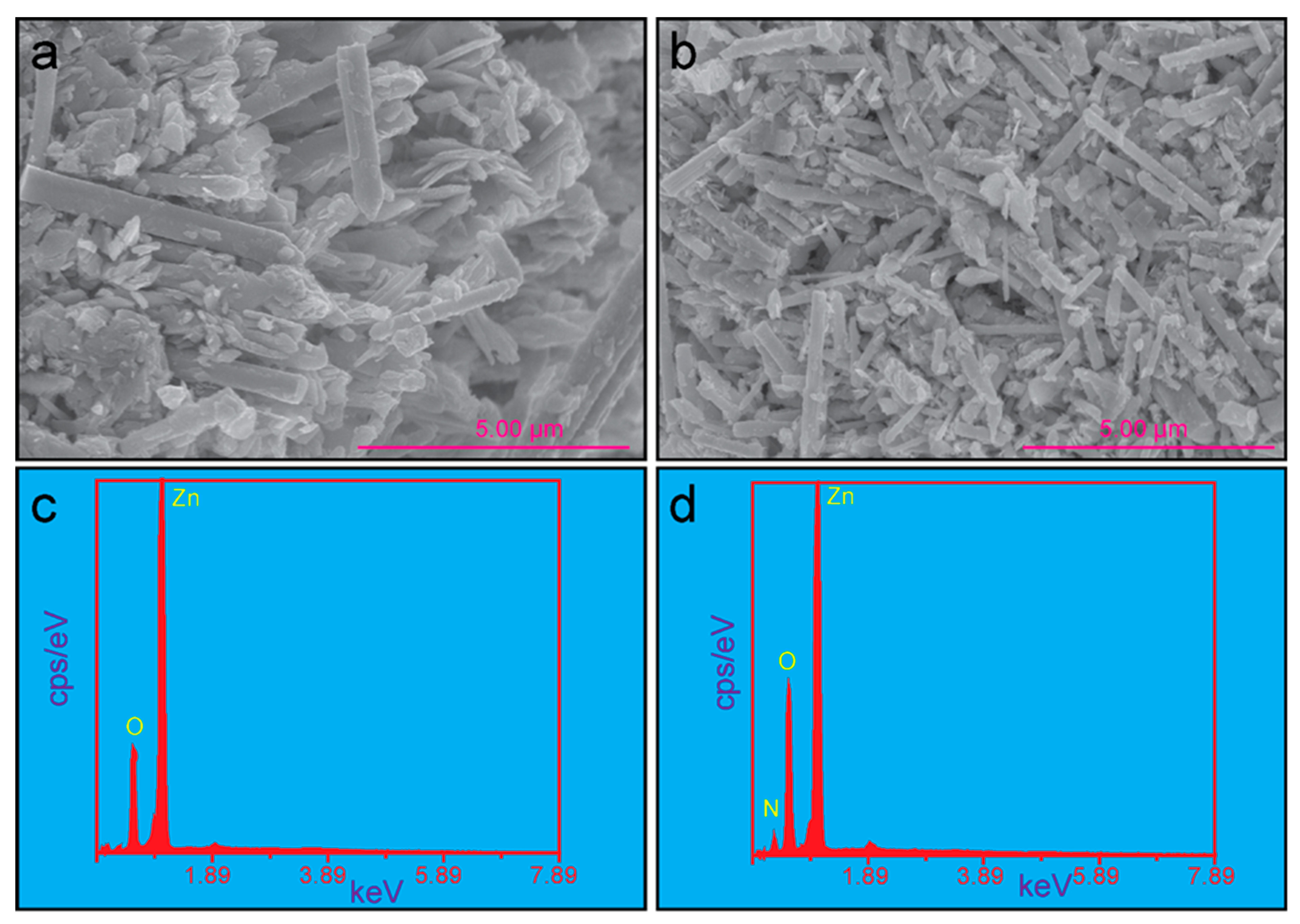 Coatings 12 00579 g003