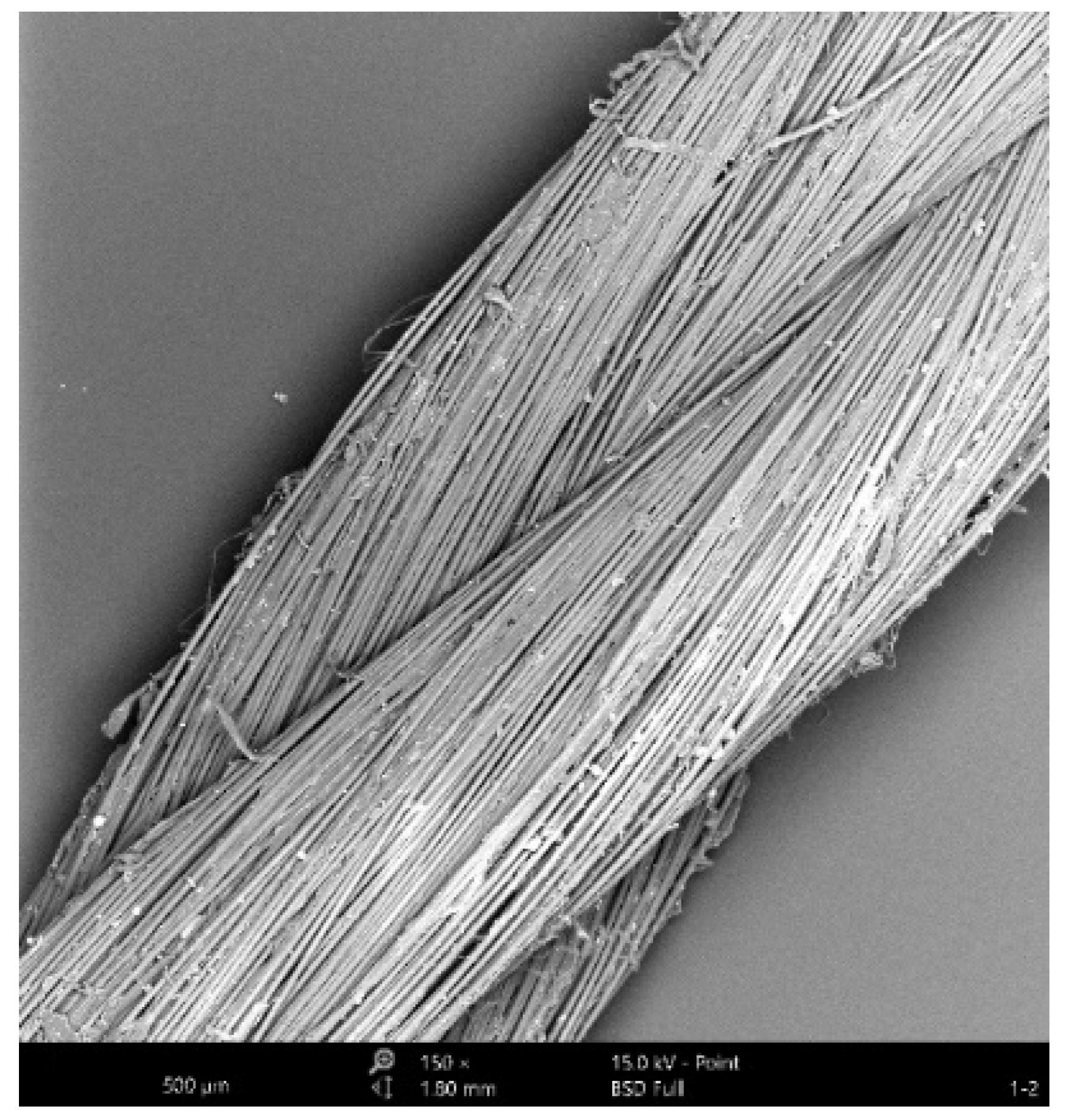 Coatings 12 00584 g003