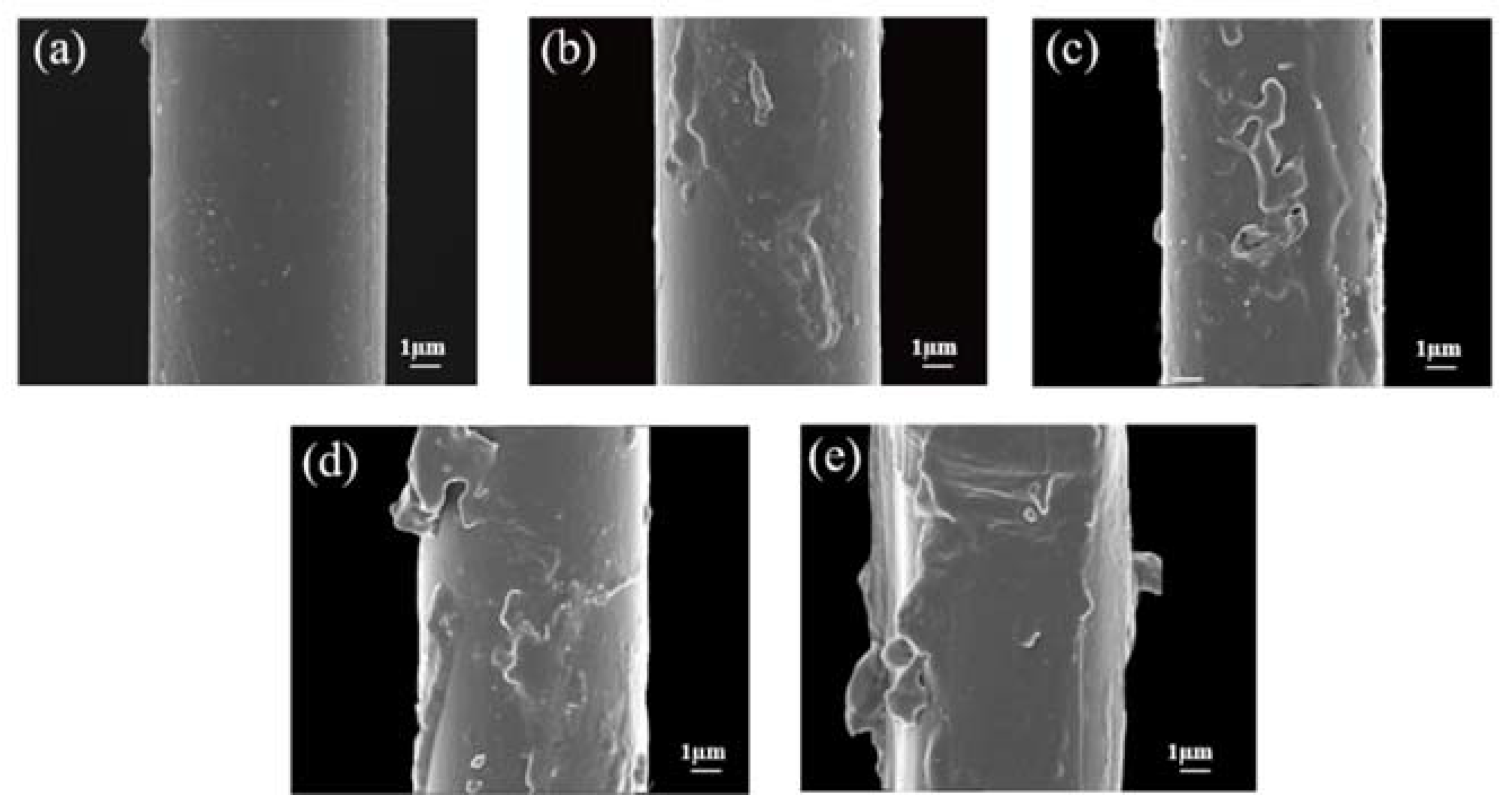 Coatings 12 00584 g007