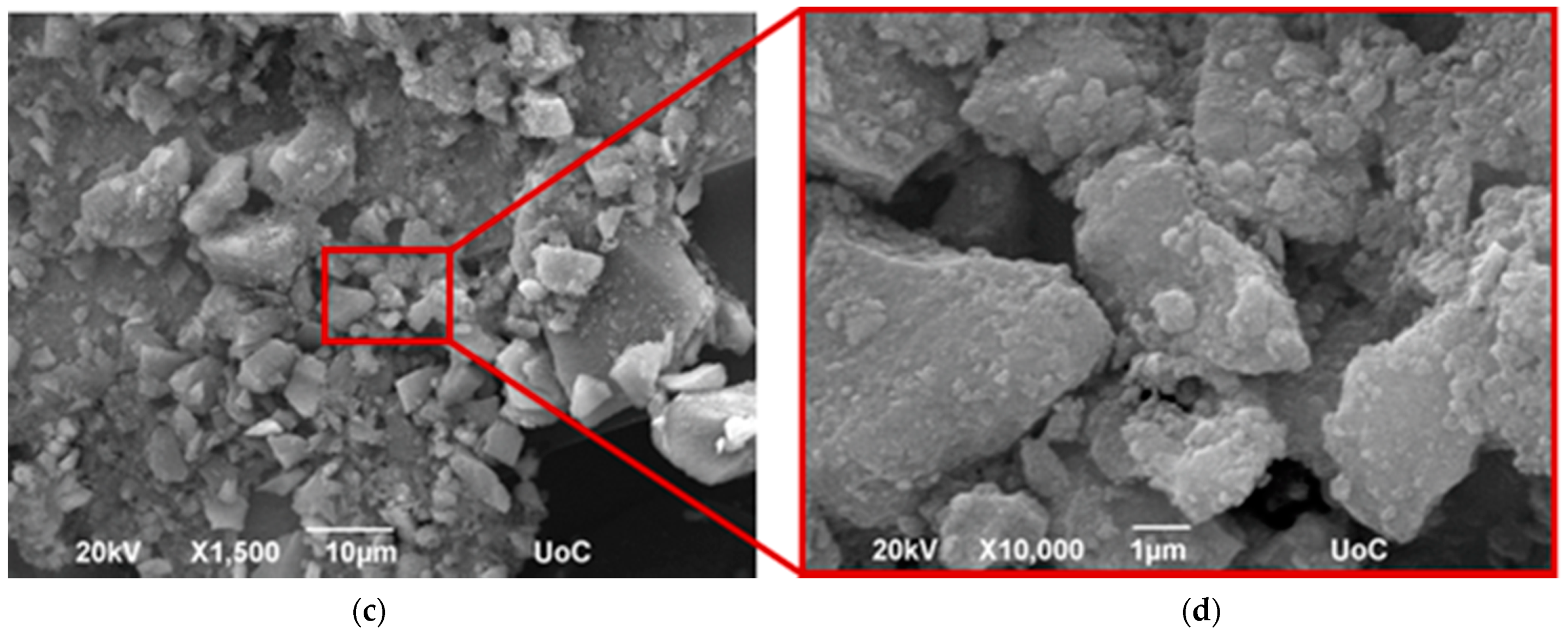 Coatings 12 00587 g005b