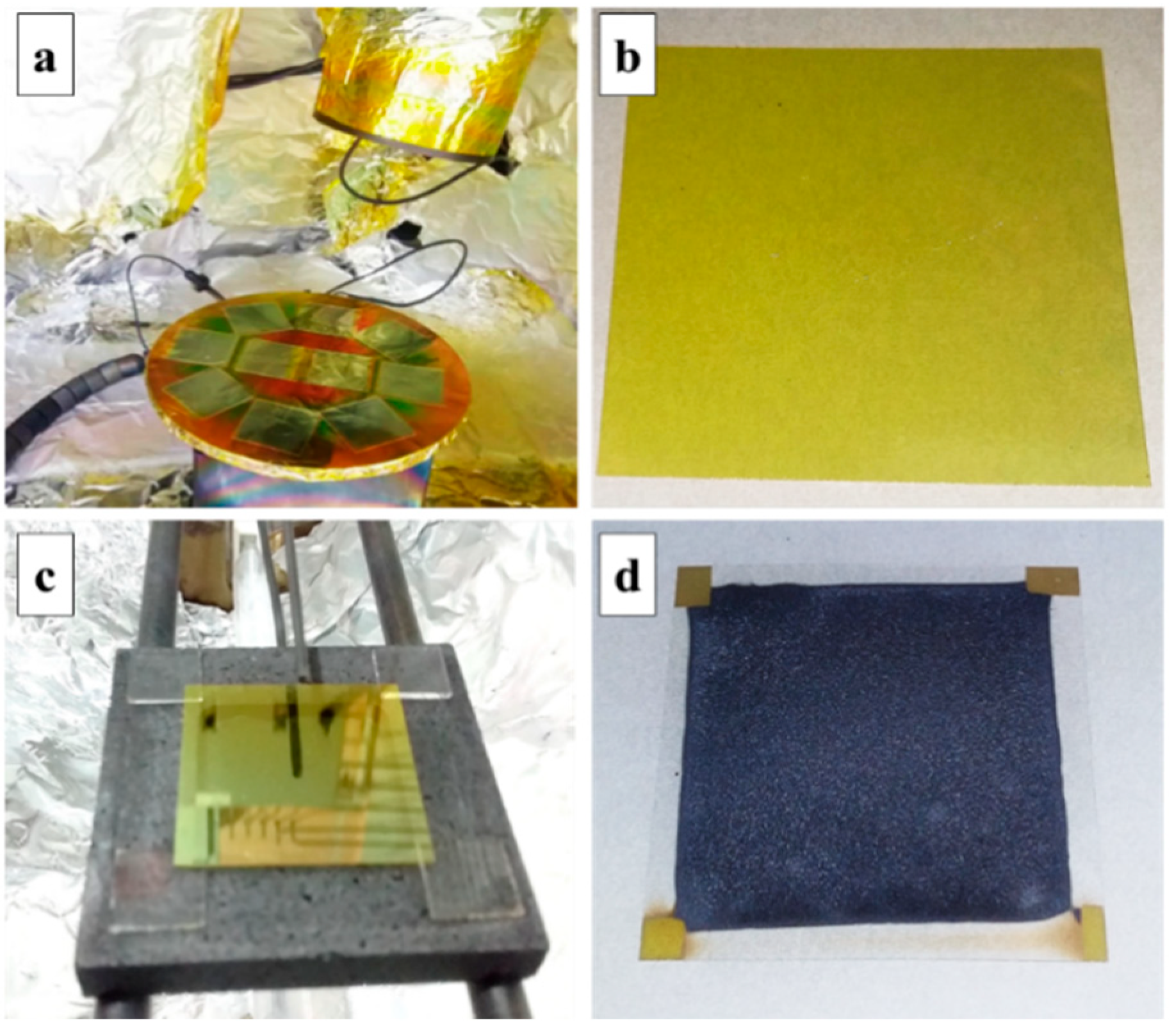 Coatings 12 00589 g001