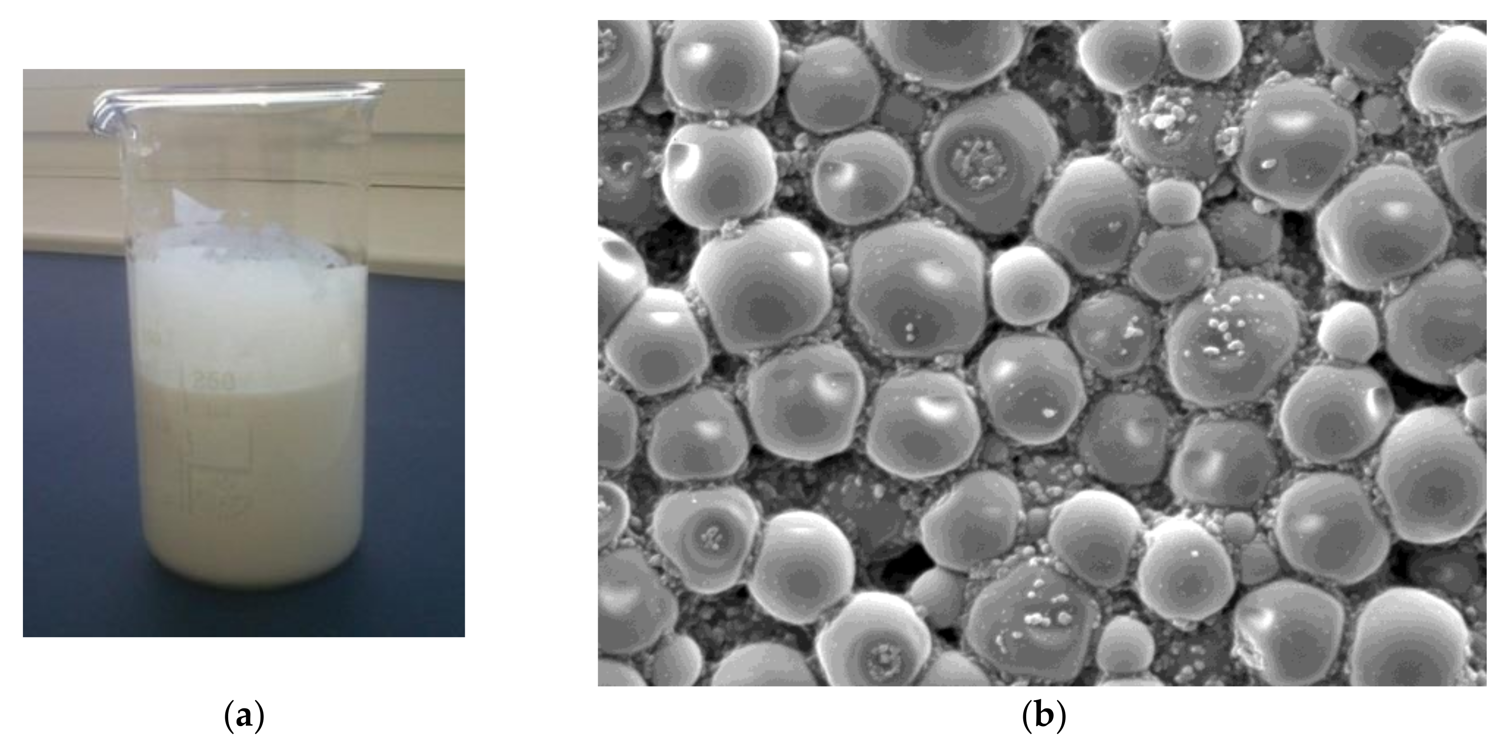 Coatings 12 00593 g001