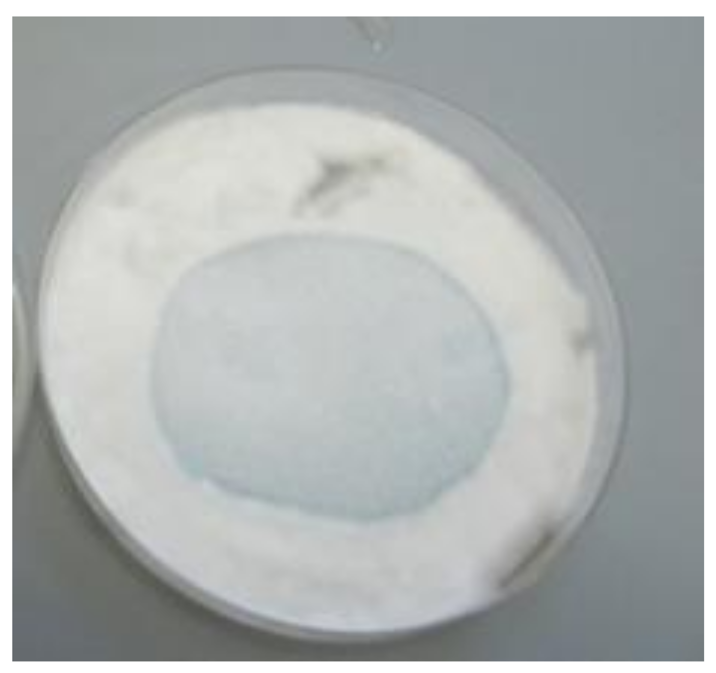 Coatings 12 00593 g008