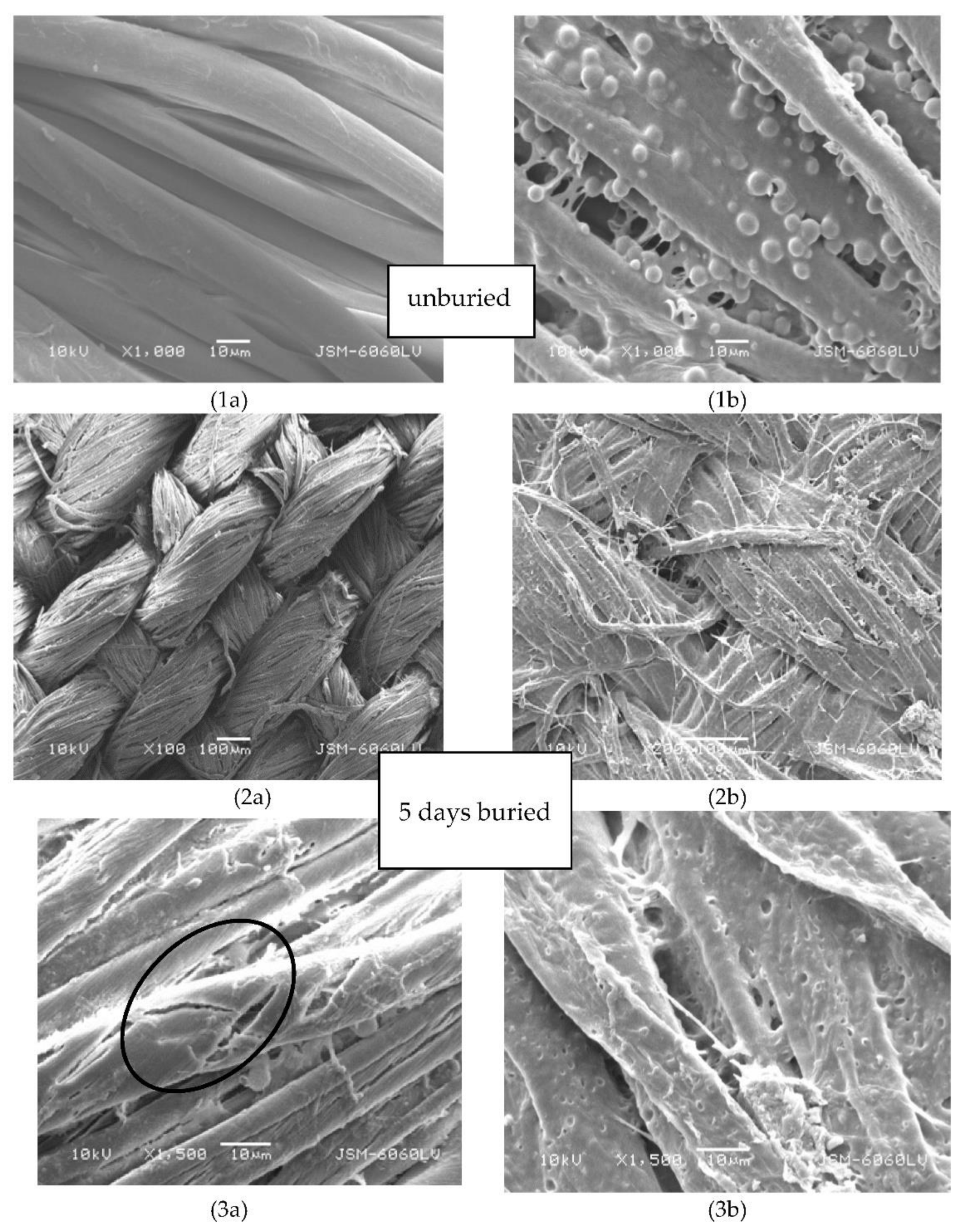 Coatings 12 00593 g009