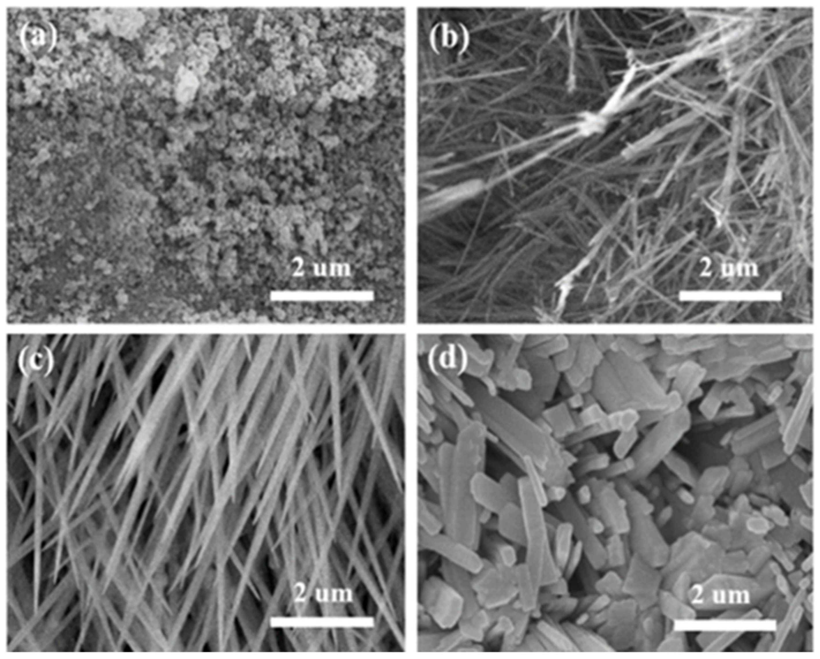 Coatings 12 00595 g003 Coatings 12 00595 g003