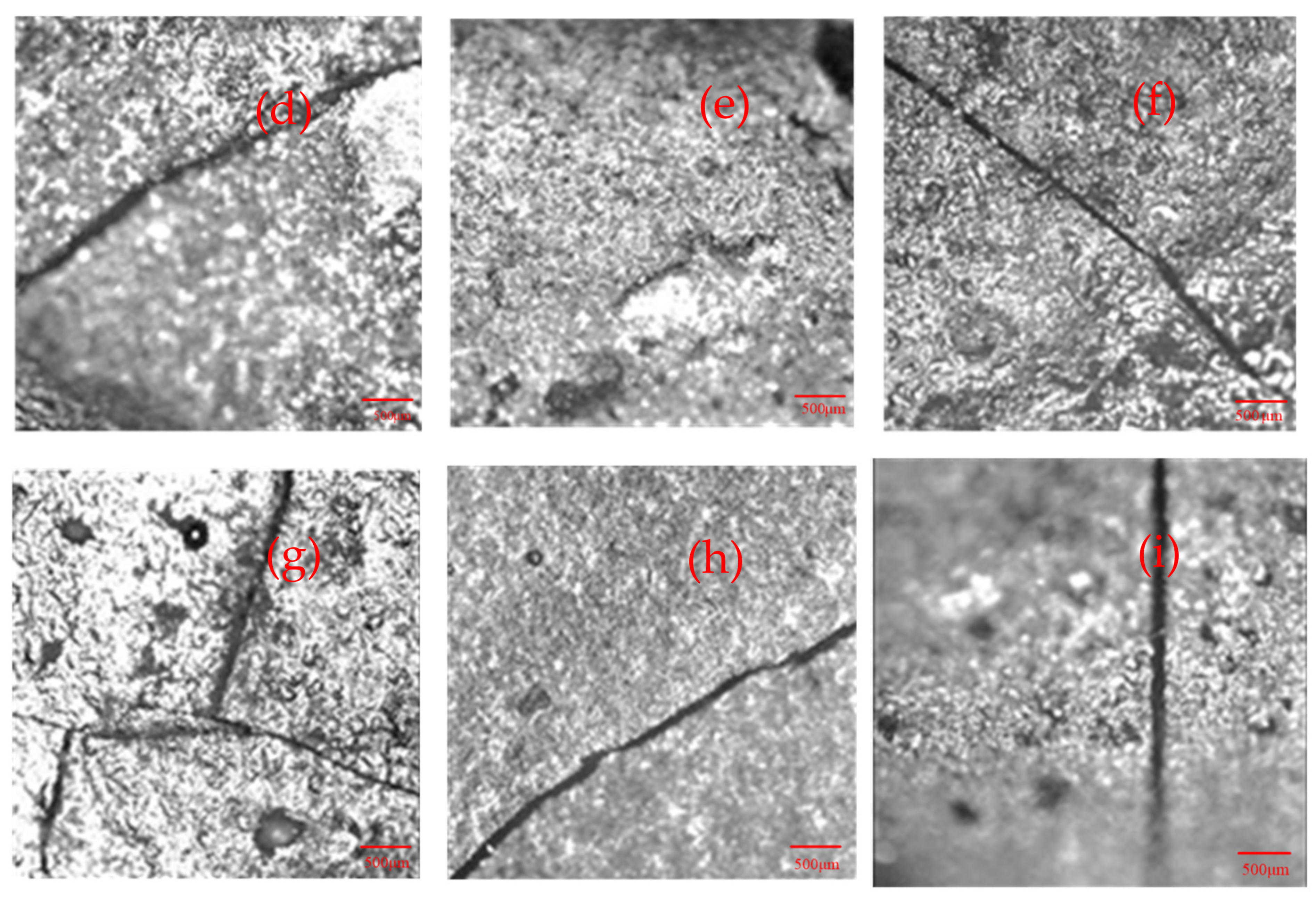 Coatings 12 00602 g002b