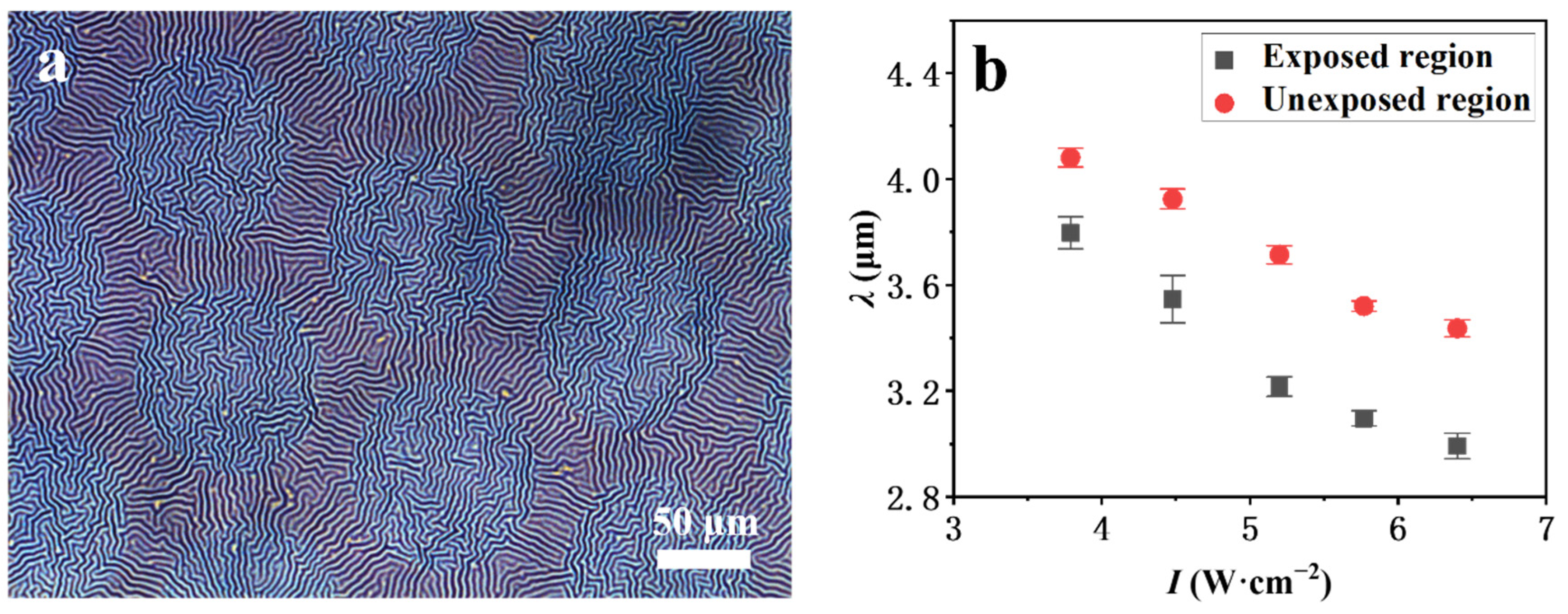 Coatings 12 00608 g003