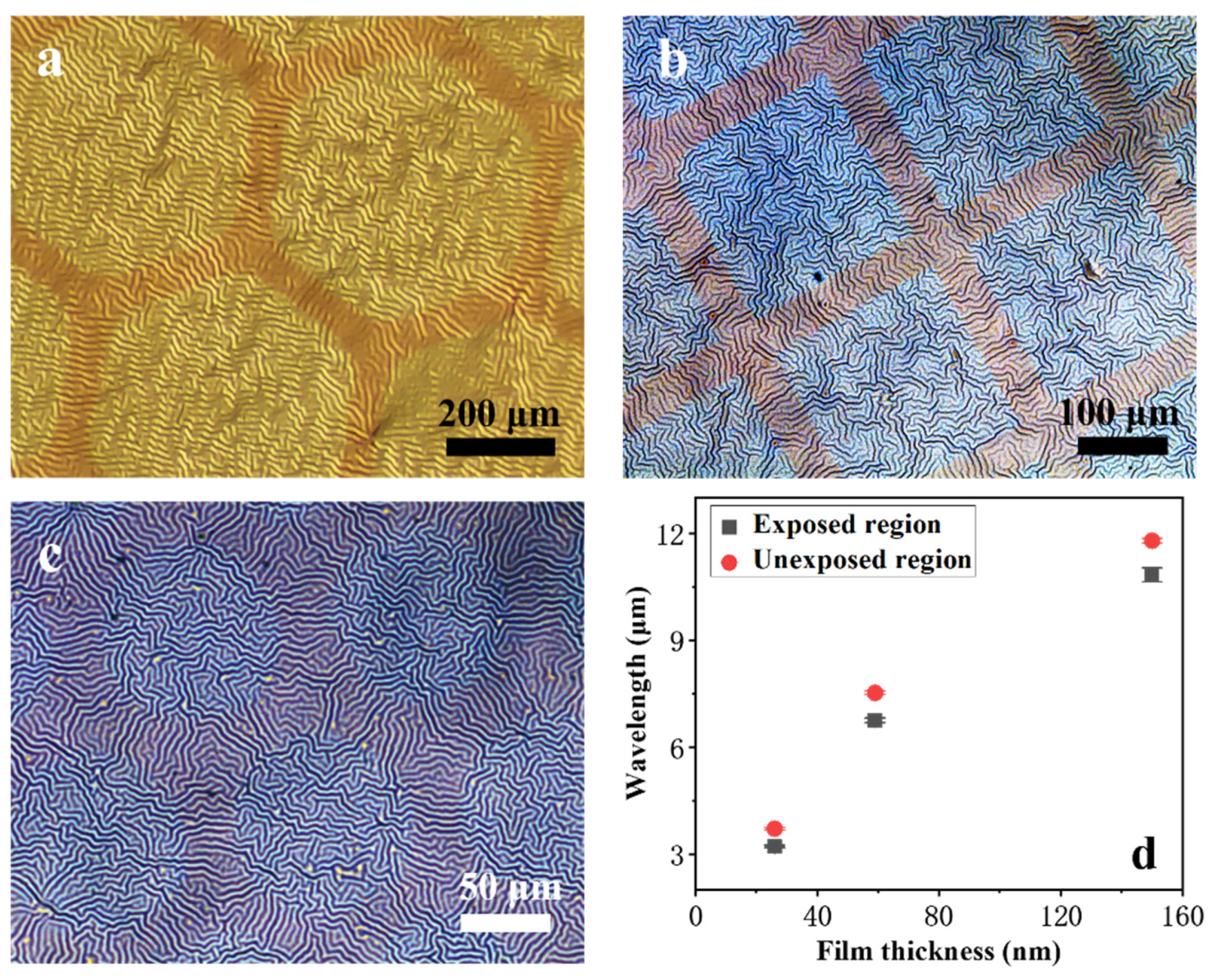 Coatings 12 00608 g004