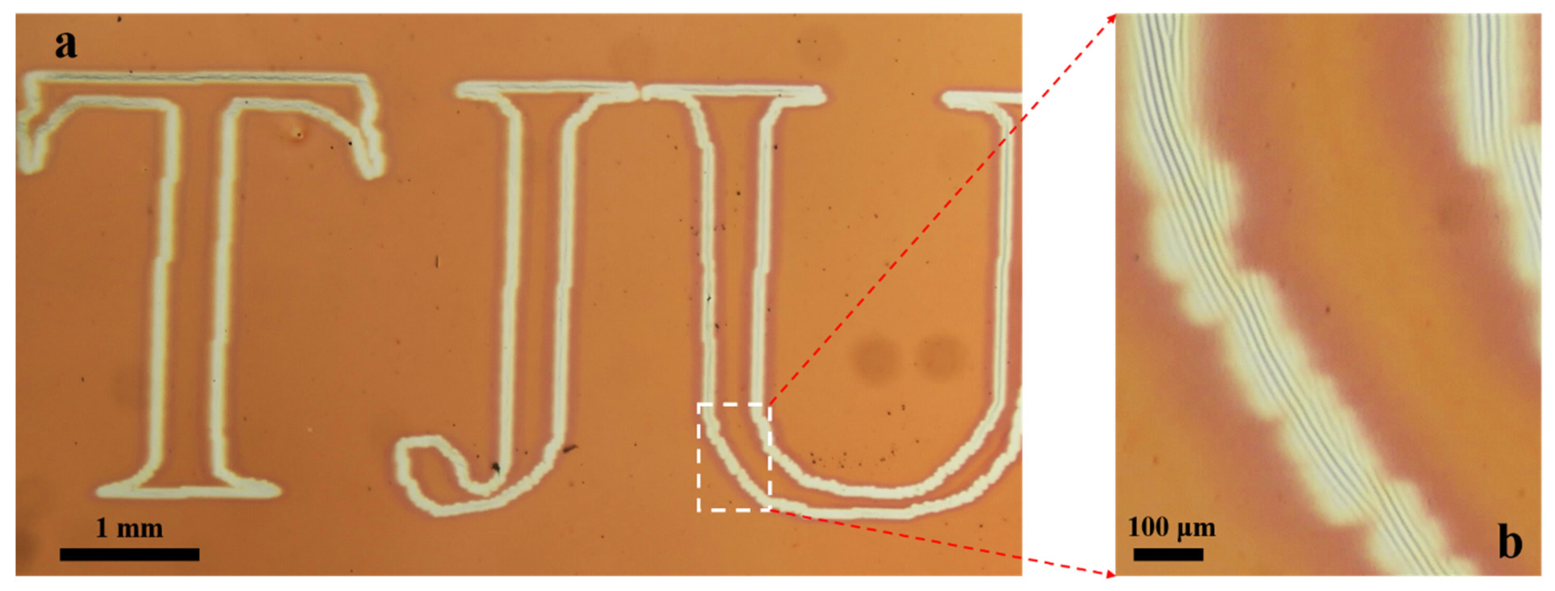 Coatings 12 00608 g007