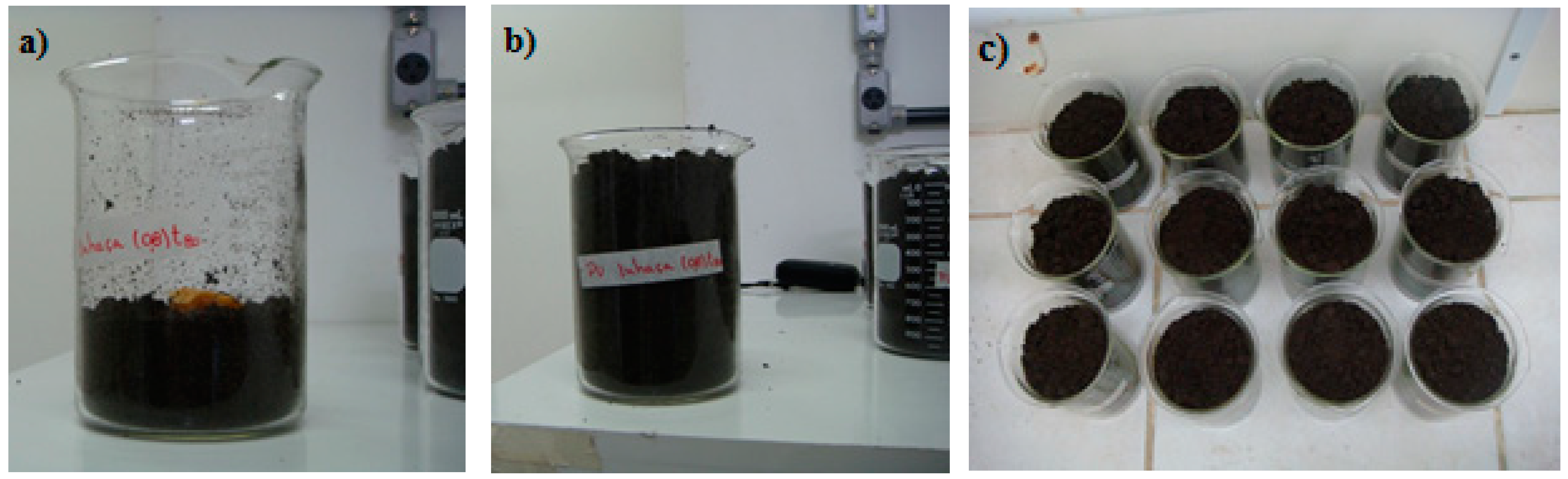 Coatings 12 00617 g002