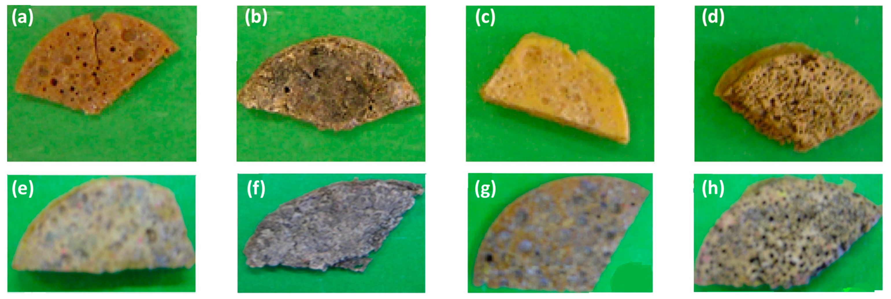 Coatings 12 00617 g004