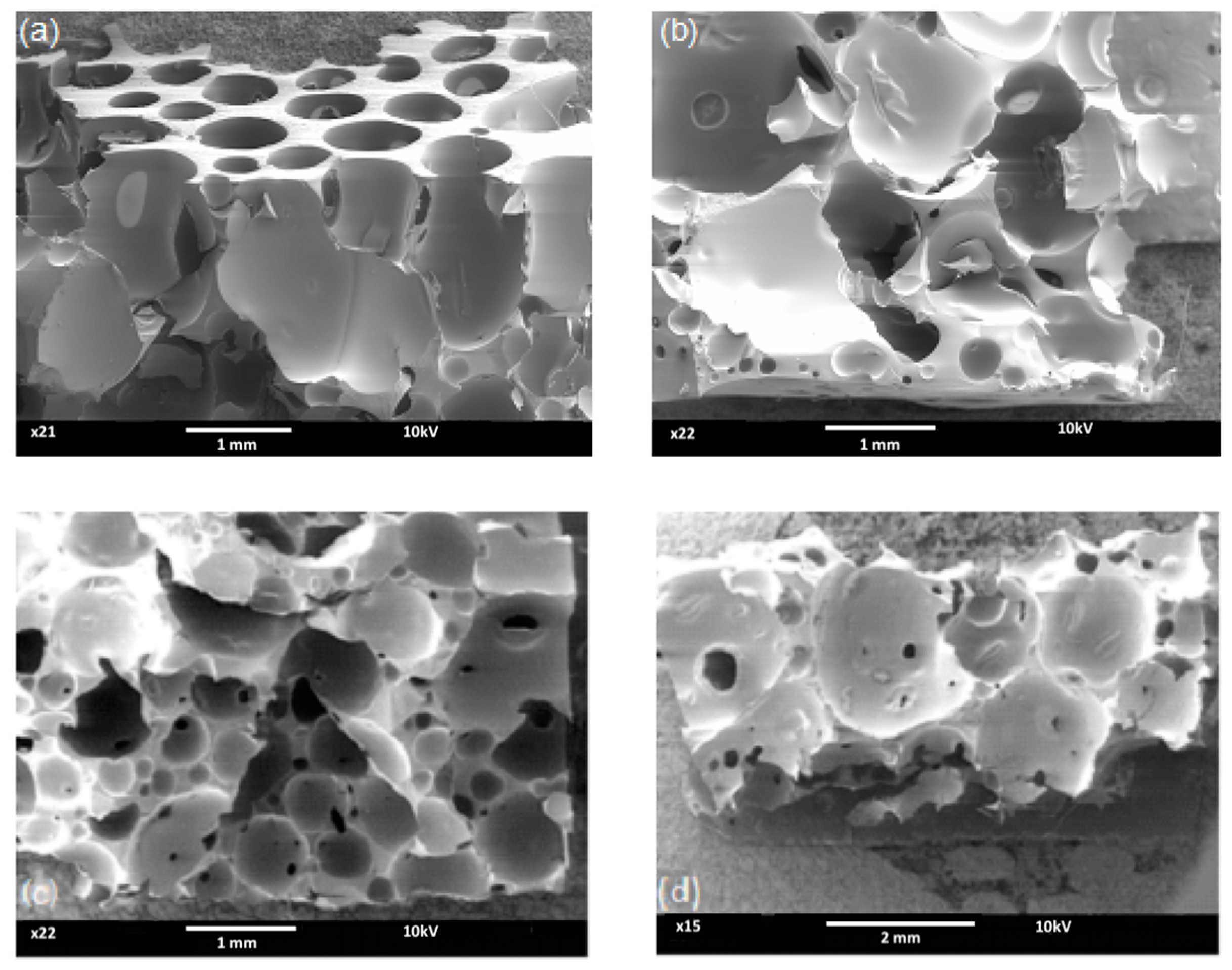 Coatings 12 00617 g005