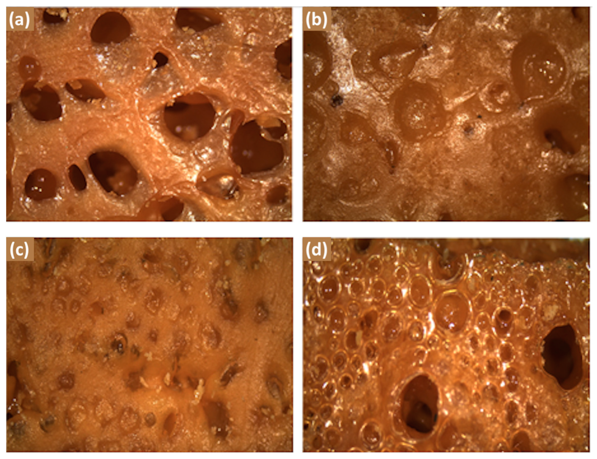 Coatings 12 00617 g006