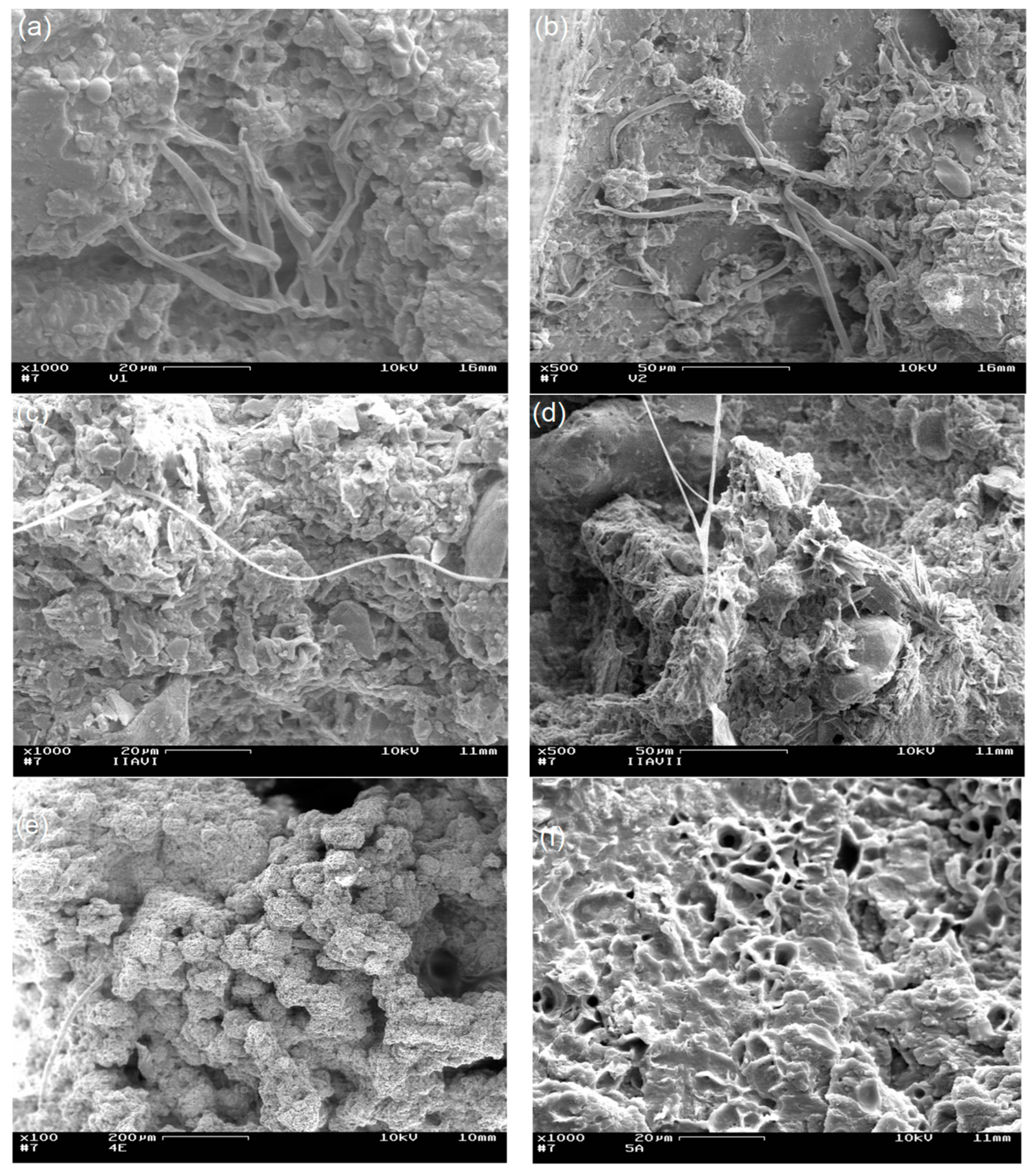Coatings 12 00617 g007