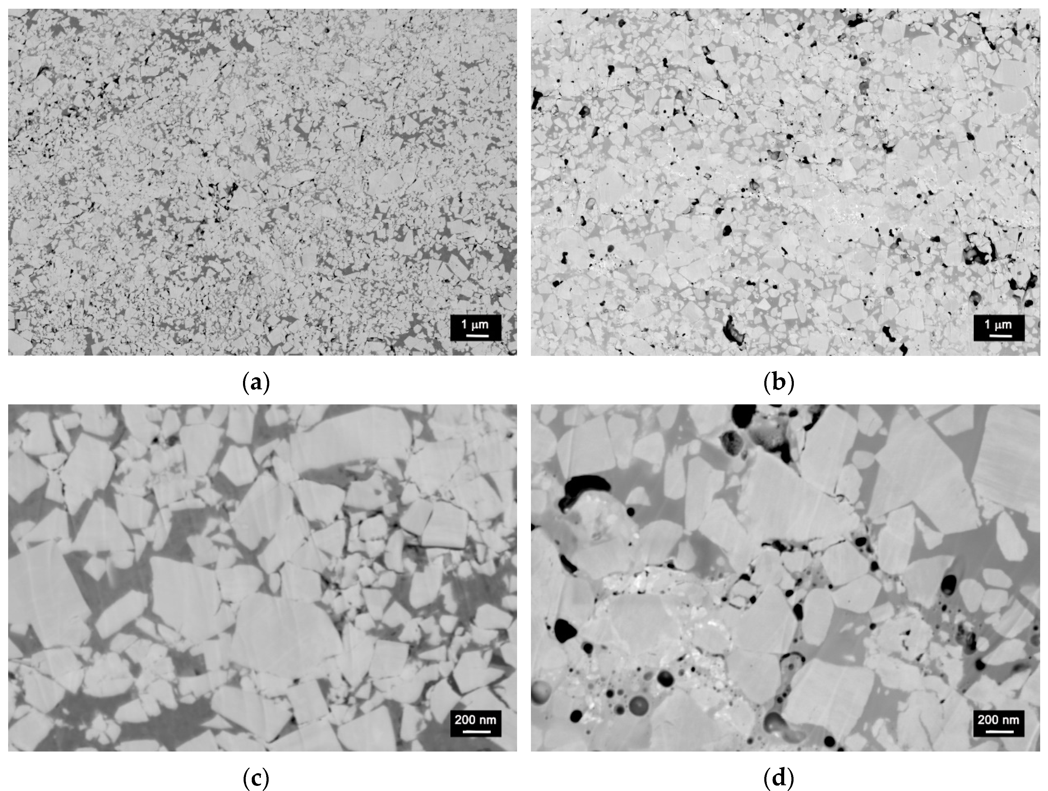 Coatings 12 00620 g004