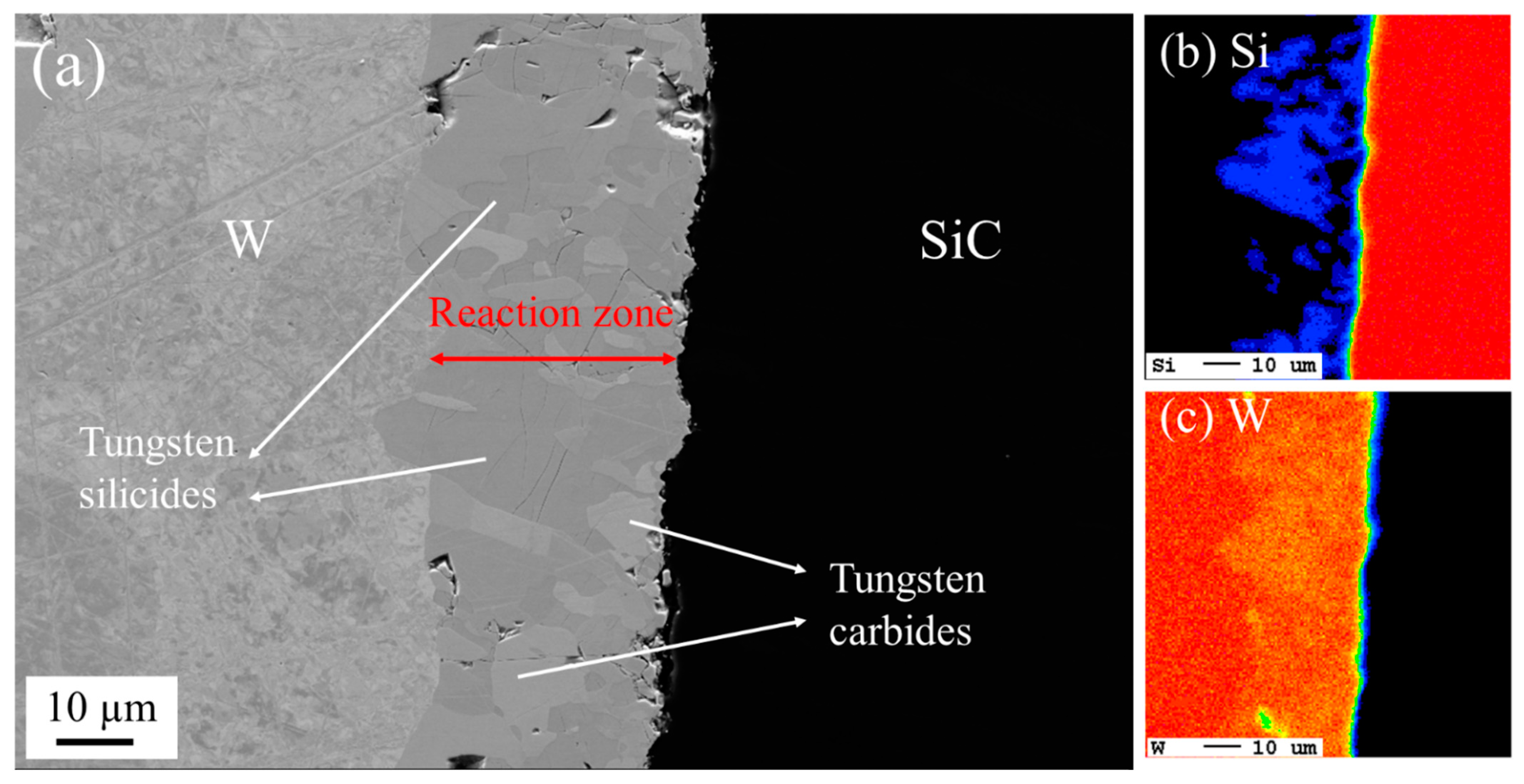 Coatings 12 00639 g002