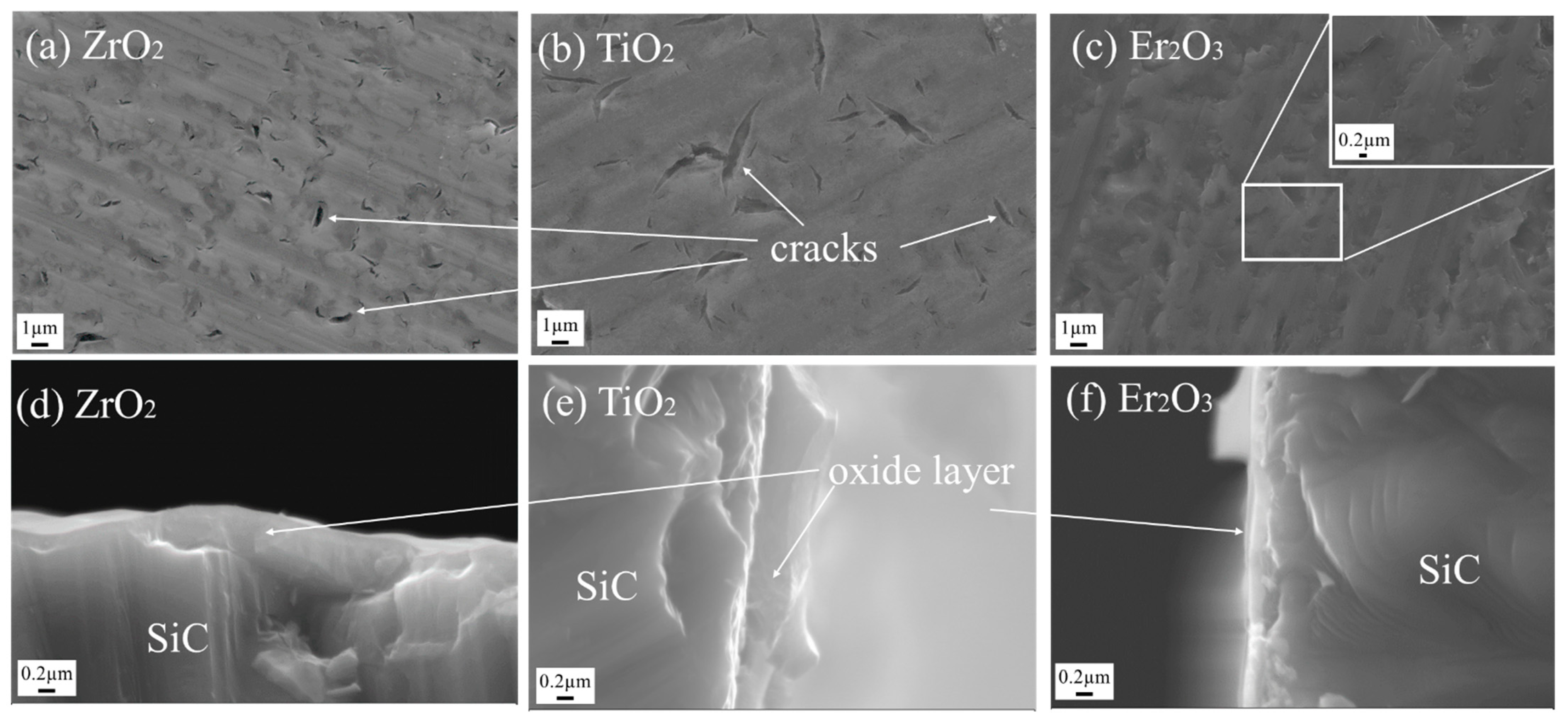 Coatings 12 00639 g004