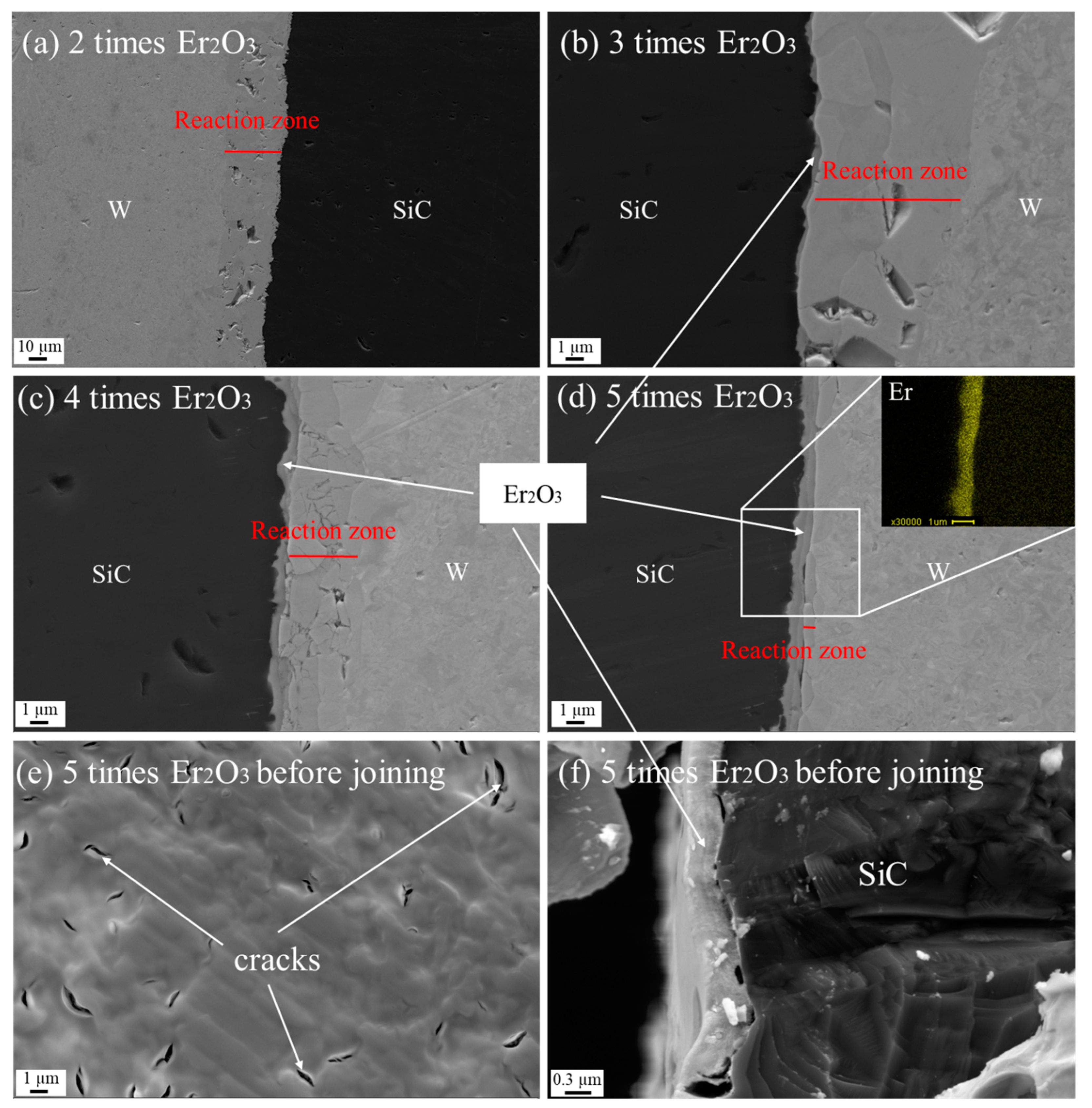 Coatings 12 00639 g006