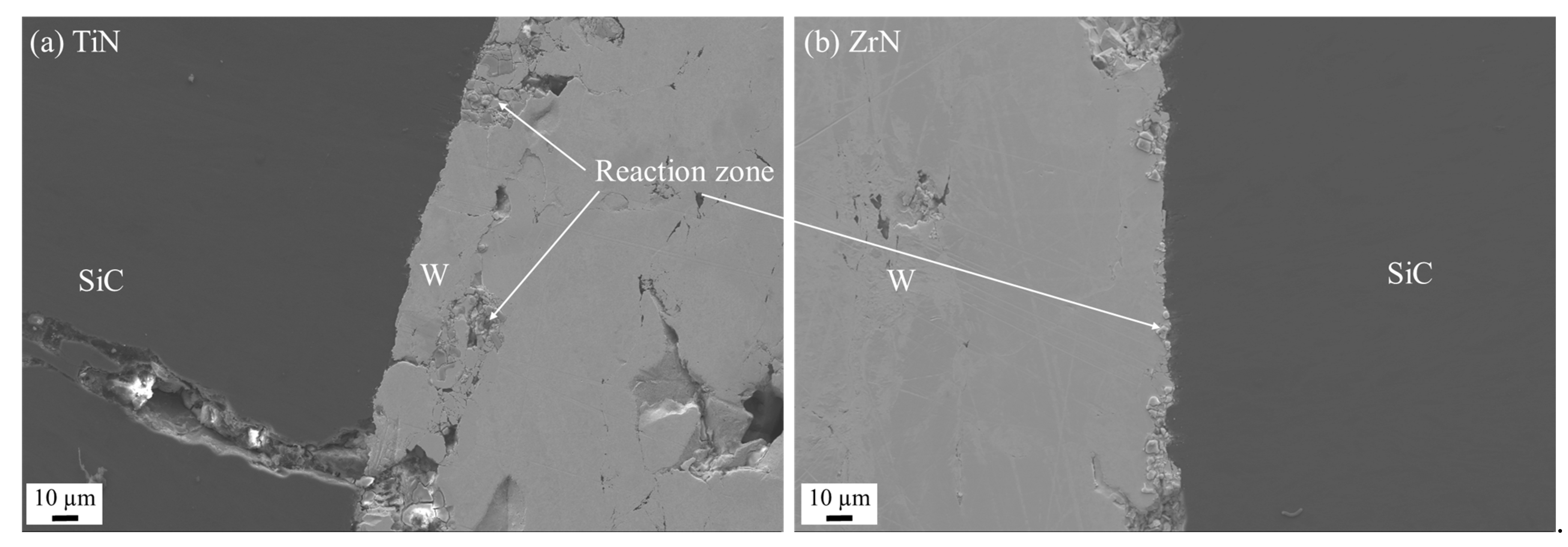 Coatings 12 00639 g013