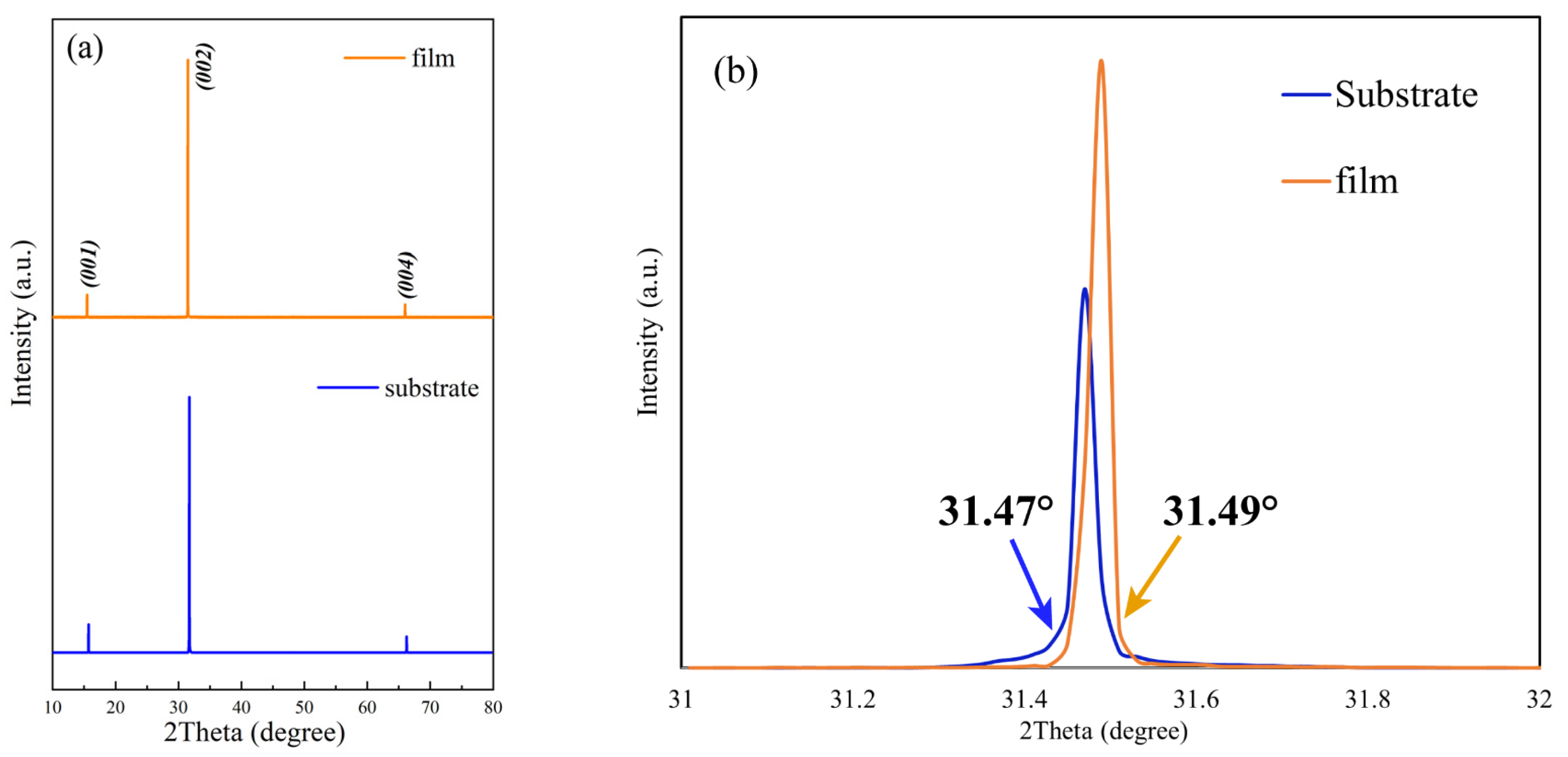 Coatings 12 00645 g001a