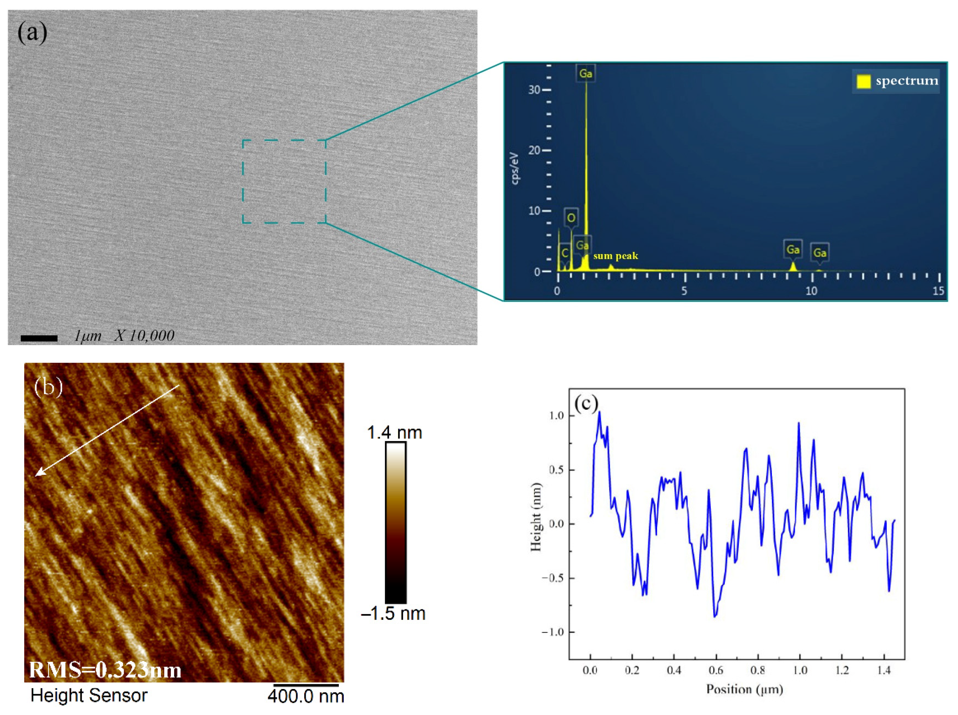 Coatings 12 00645 g003a