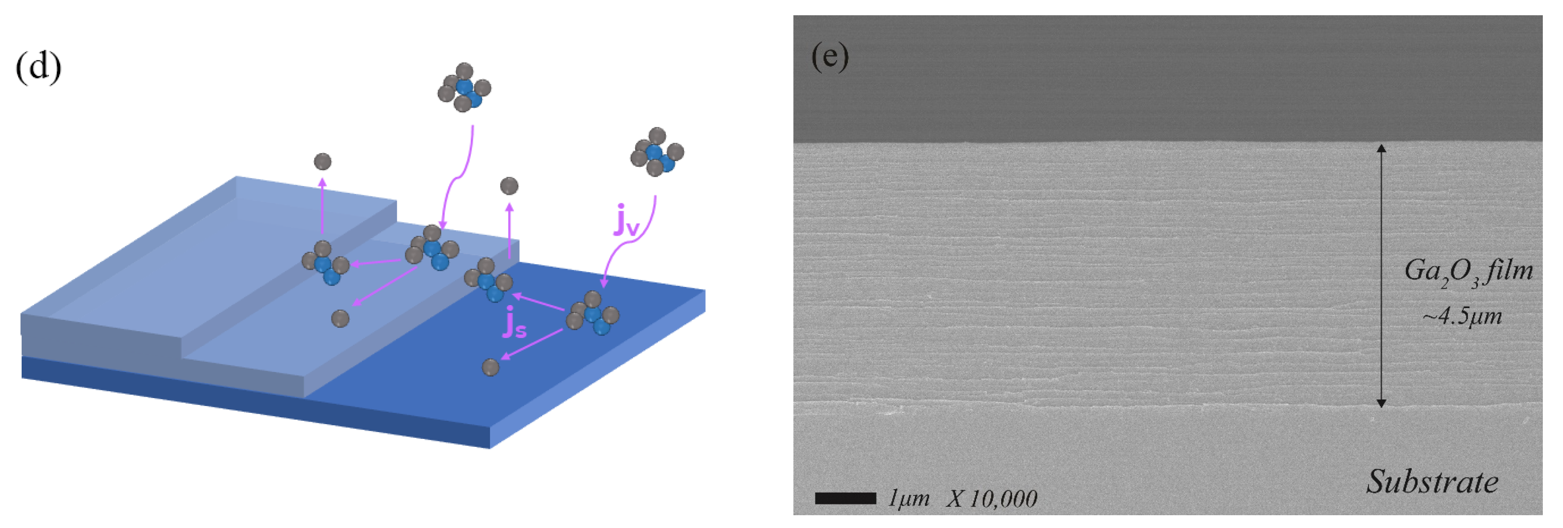 Coatings 12 00645 g003b