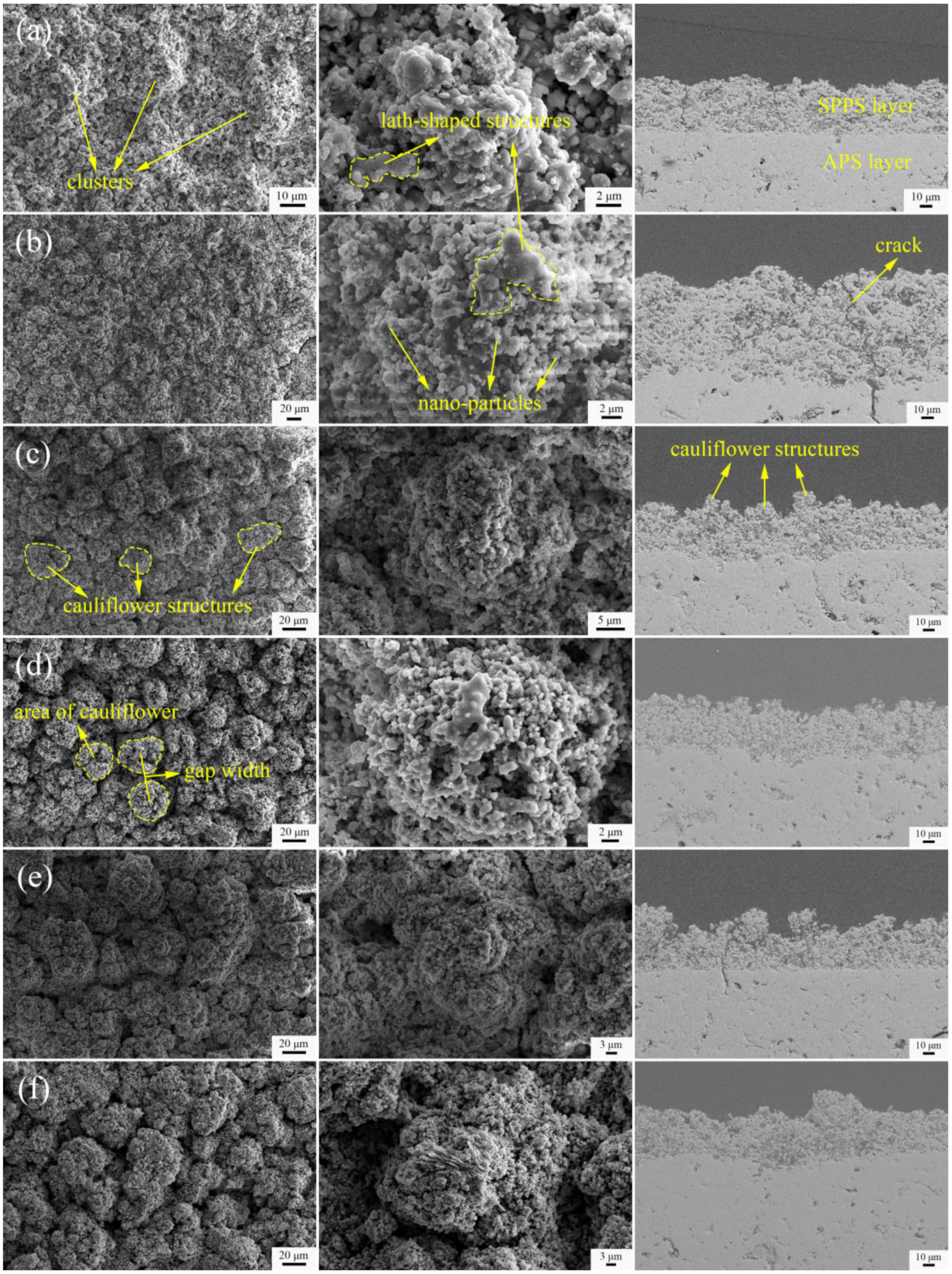 Coatings 12 00648 g003