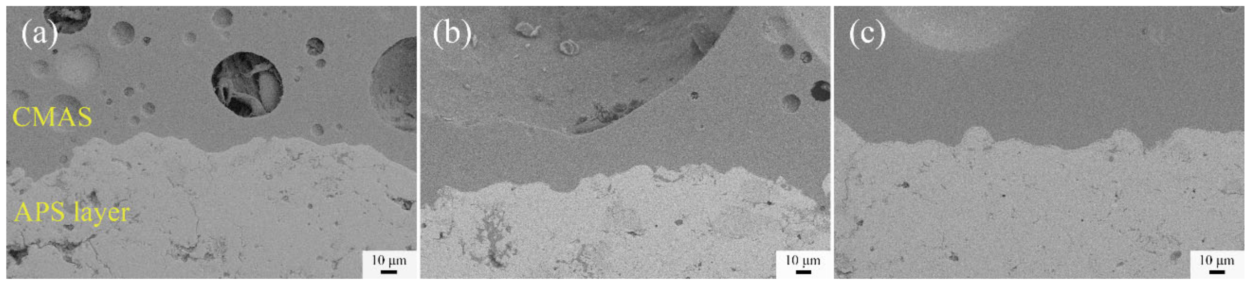 Coatings 12 00648 g007